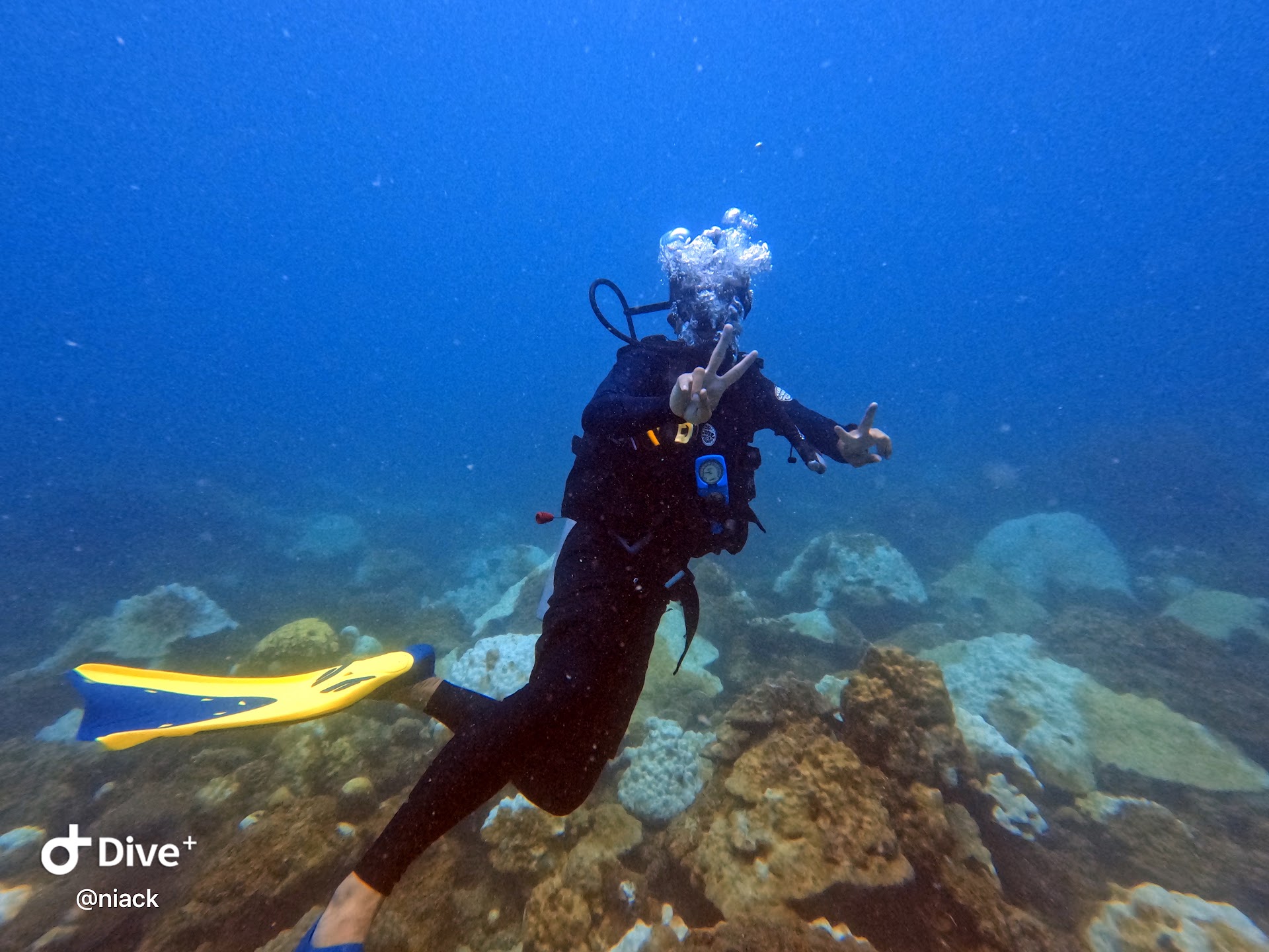 Quiver Dive Team