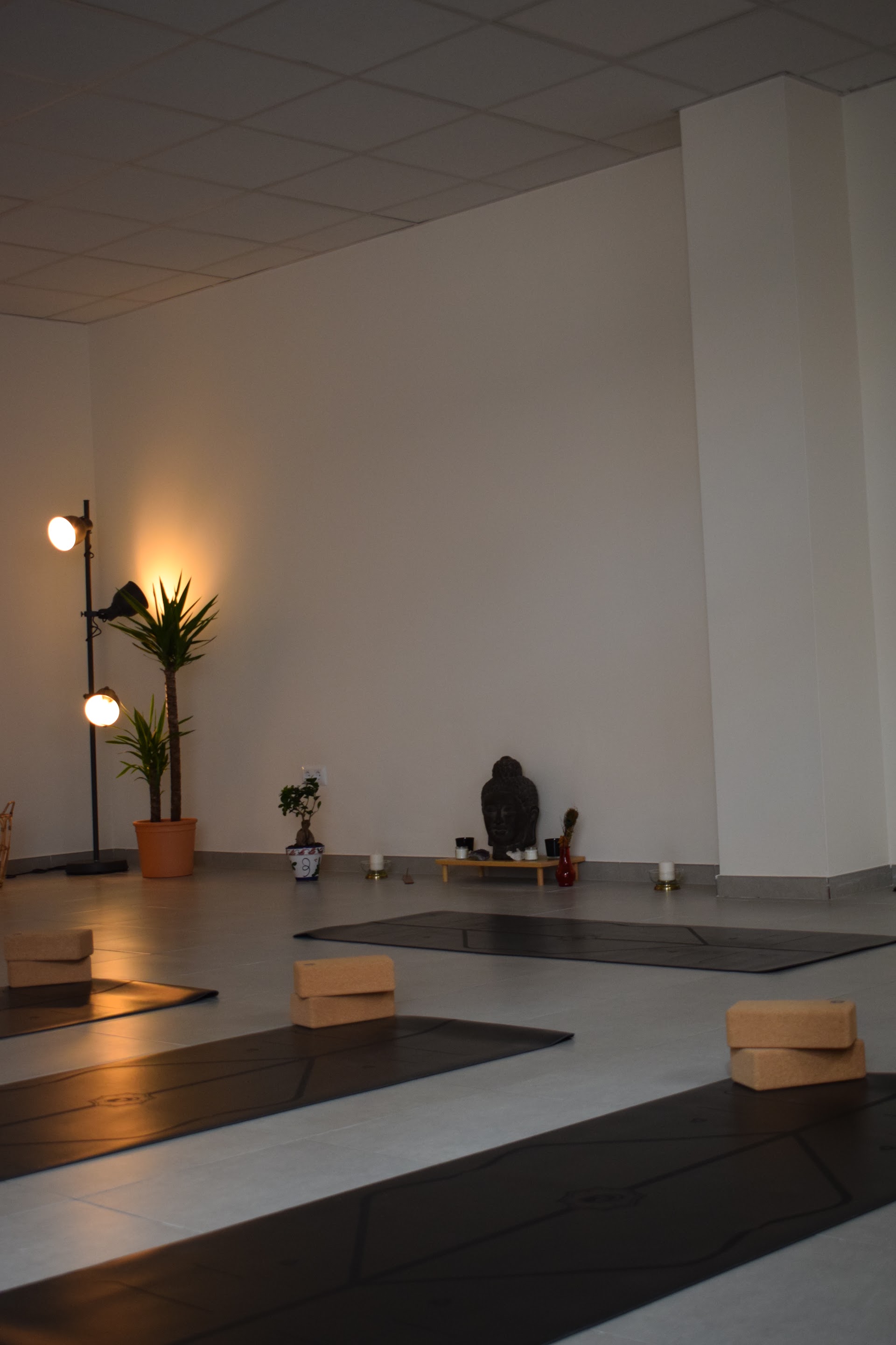 The Yoga Room