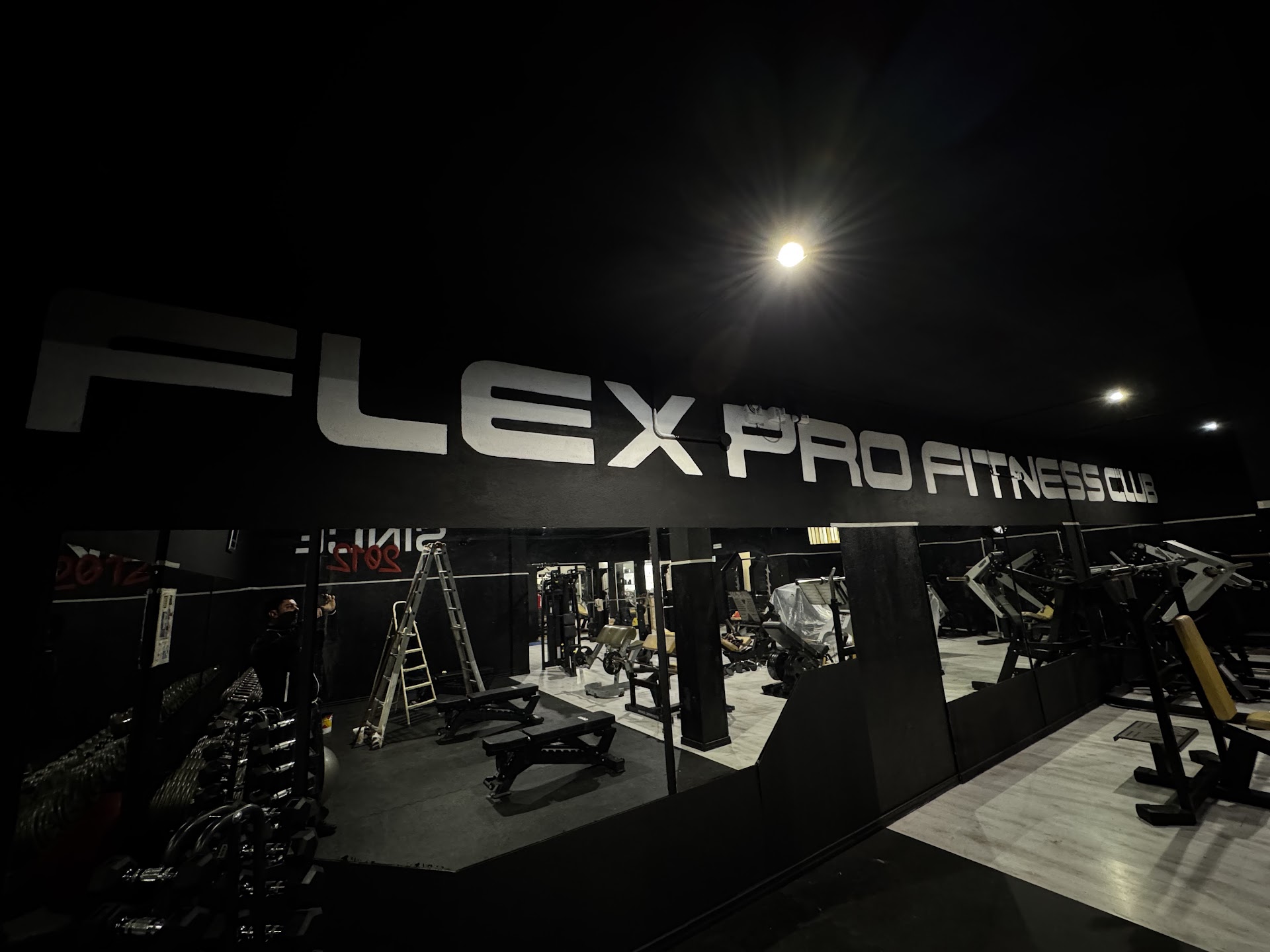 Flex Pro Gym