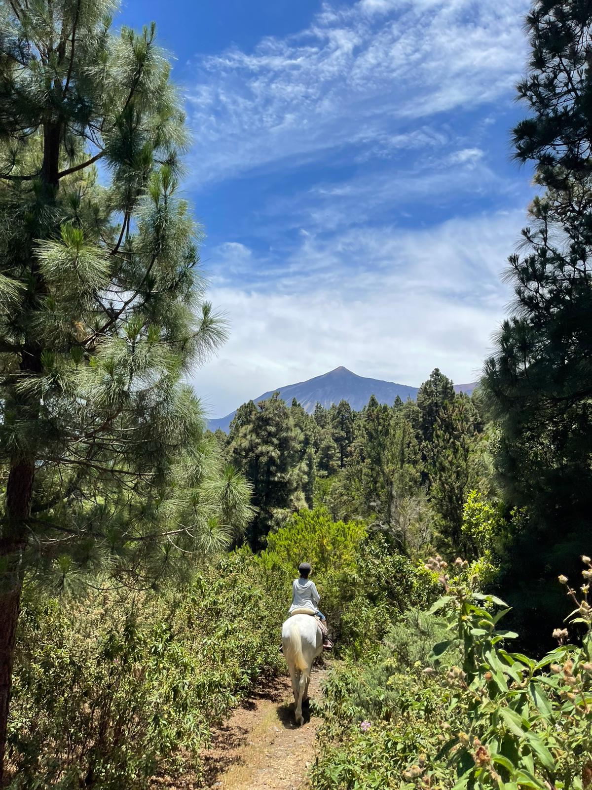 Teneriffa Reiten
