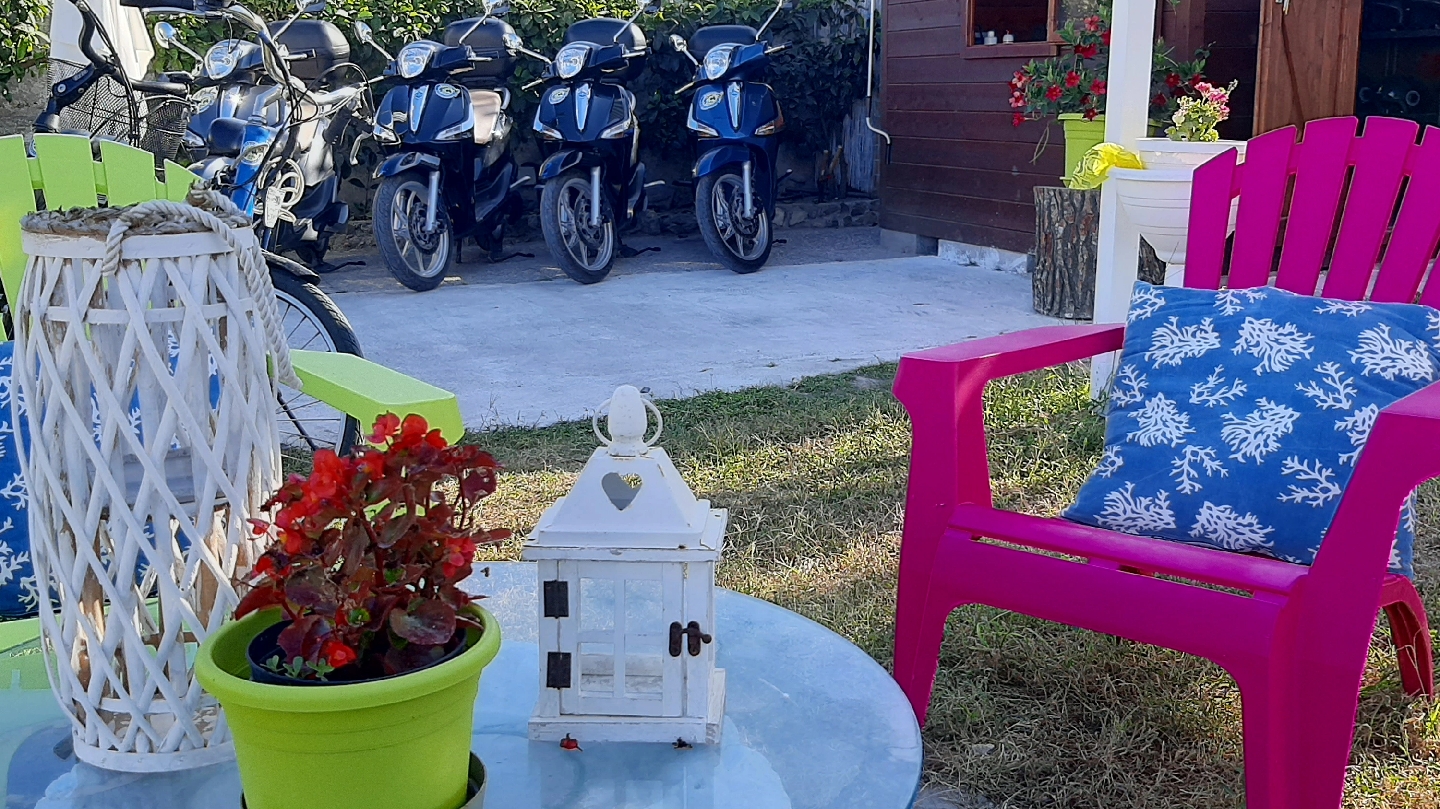 Noleggio gite Ponza