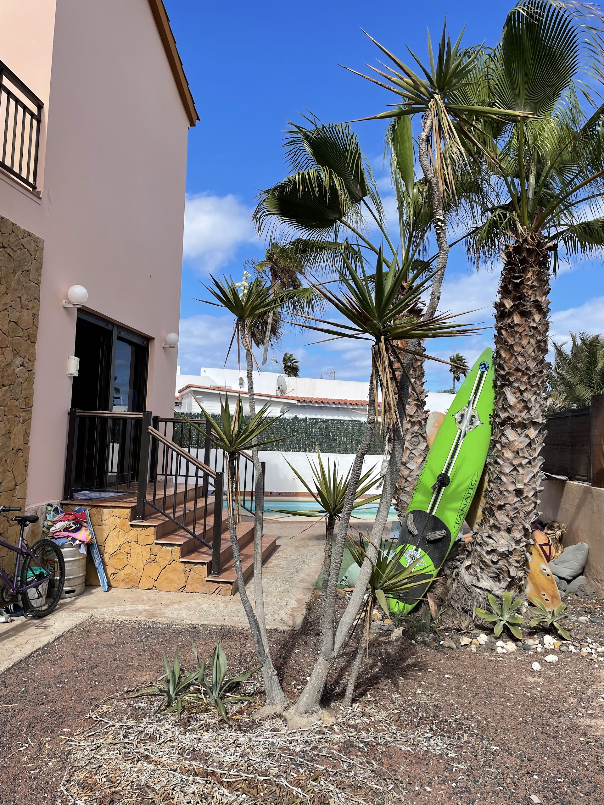 International Surf School & Camp