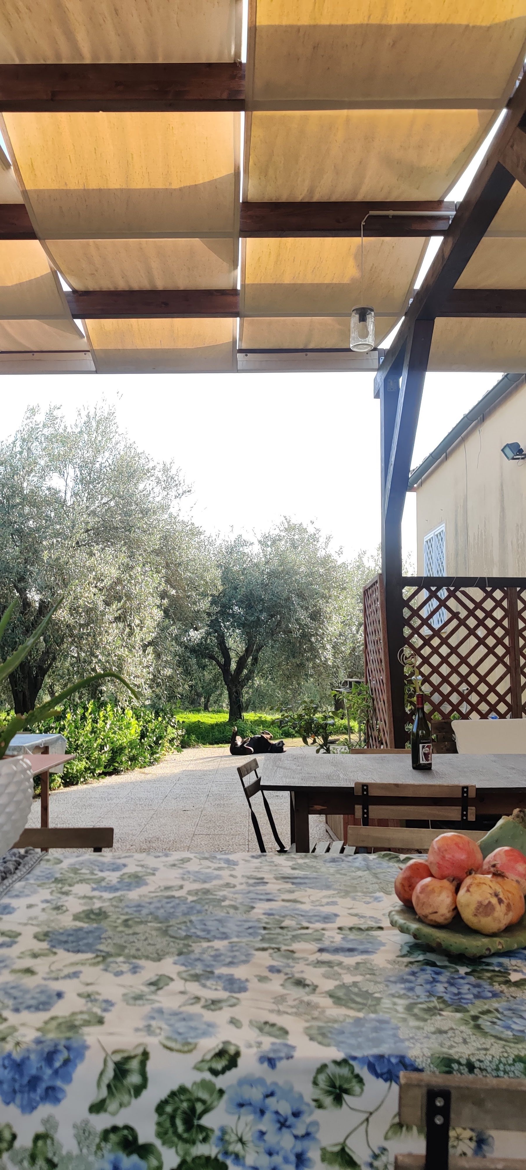 Azienda Vinicola Fausta Mansio