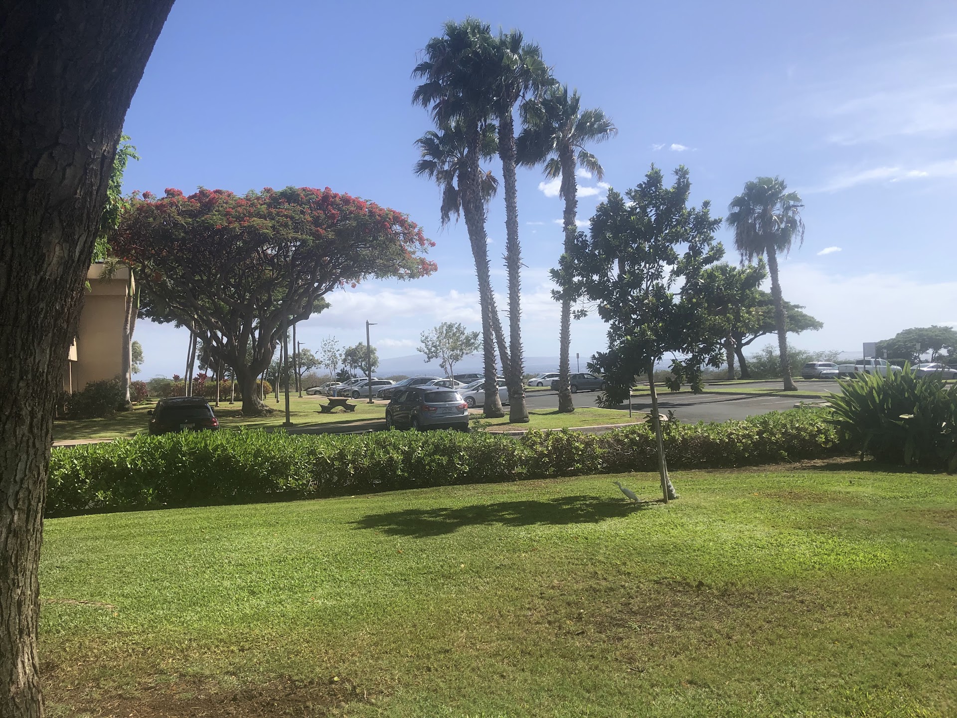 The Cohana - Maui's Coworking Space