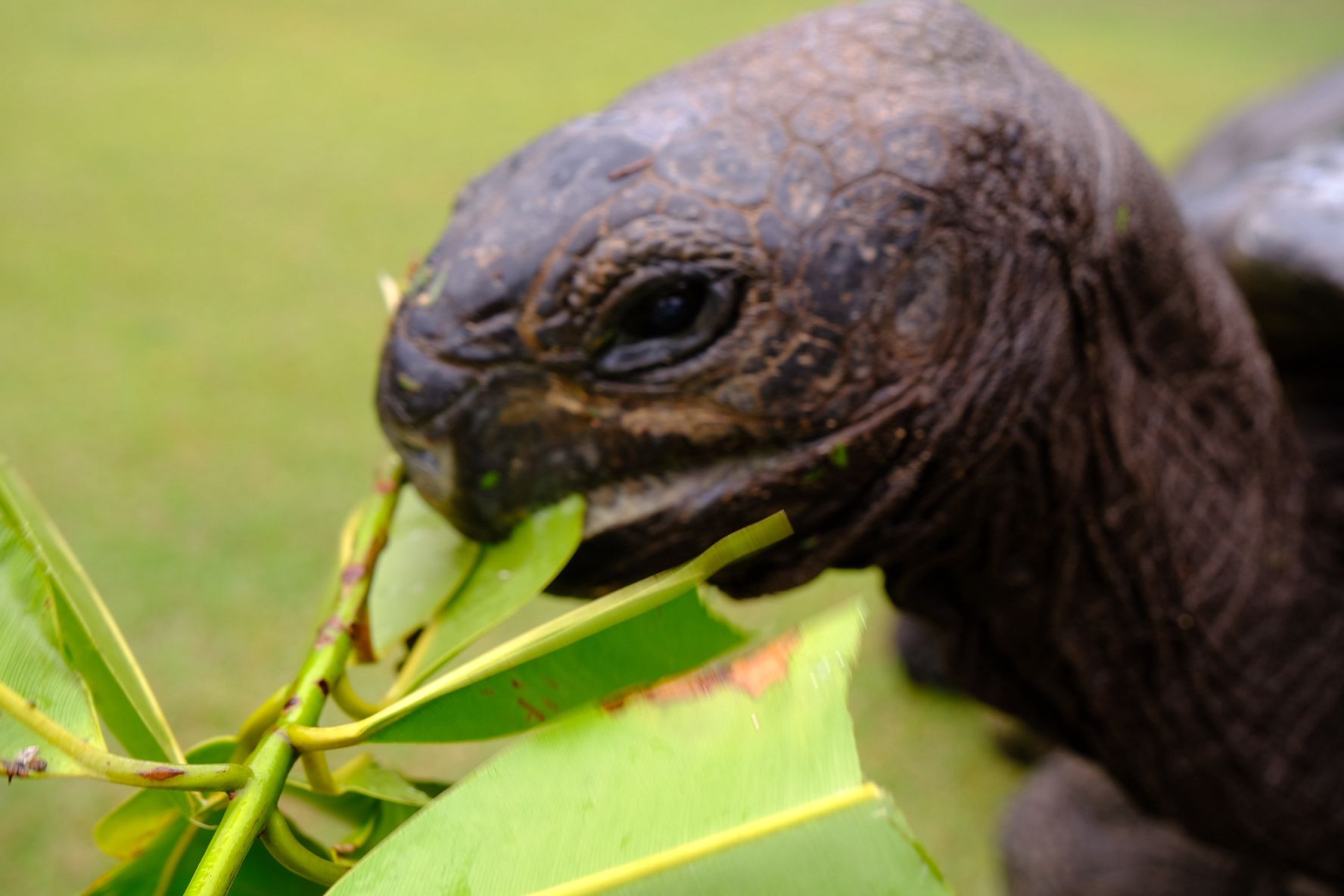 Curieuse Island Excursions
