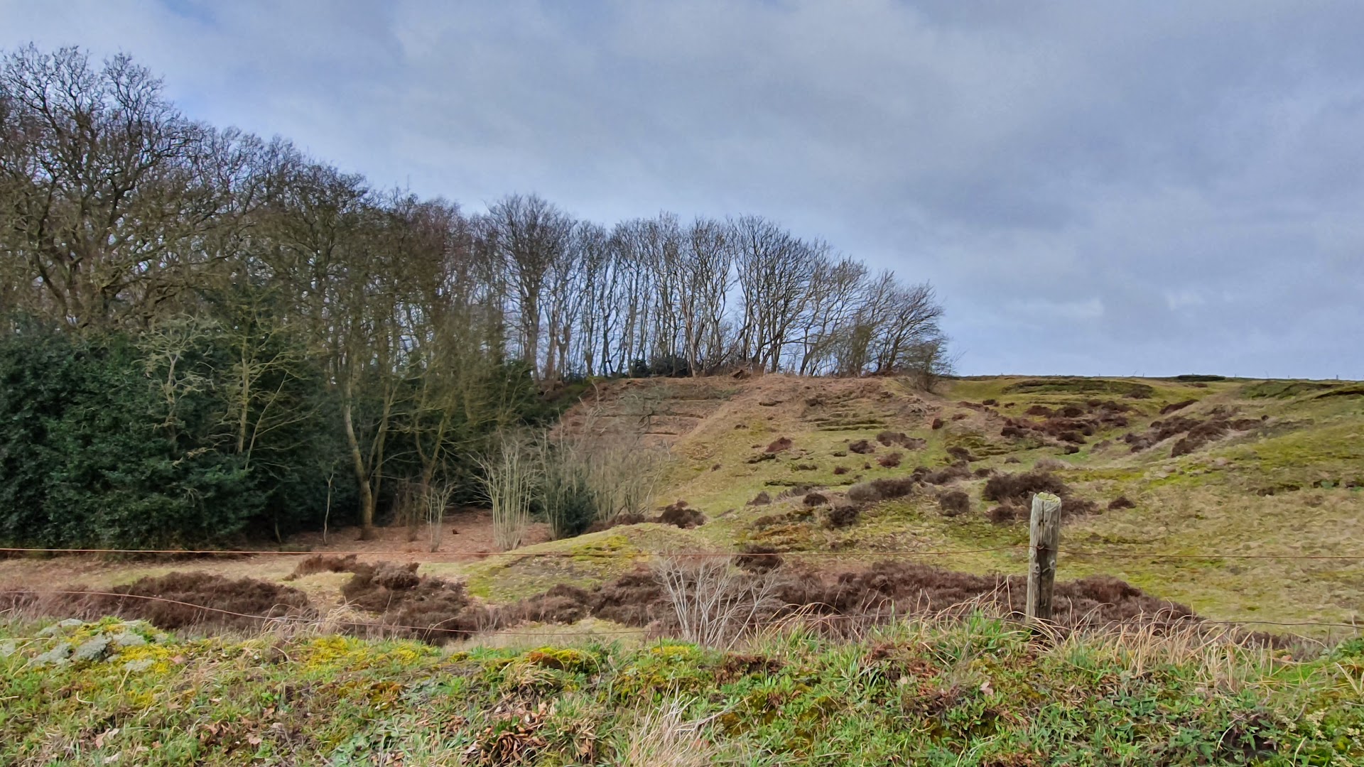 Hiking Tours in Oudeschild