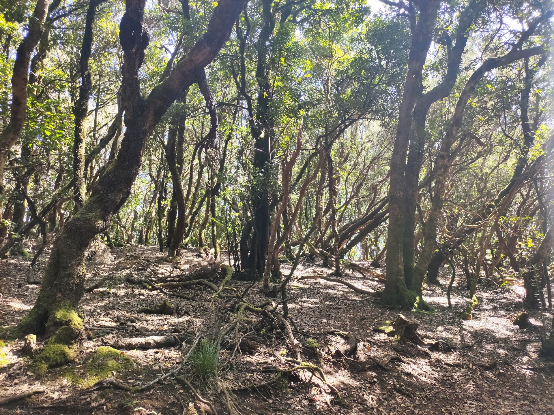 Sendero de los Sentidos