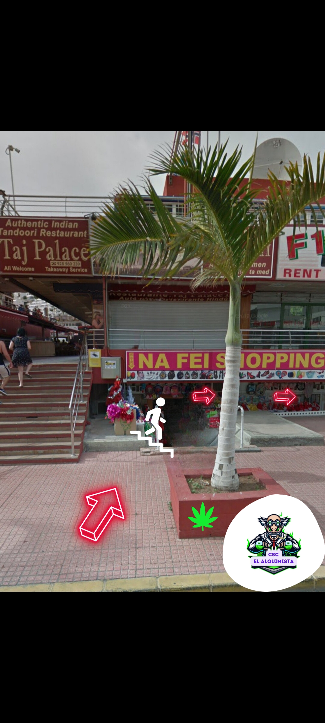 CSCElAlquimista | Puerto Rico | Social Club | Medical and Recreative Weed Shop