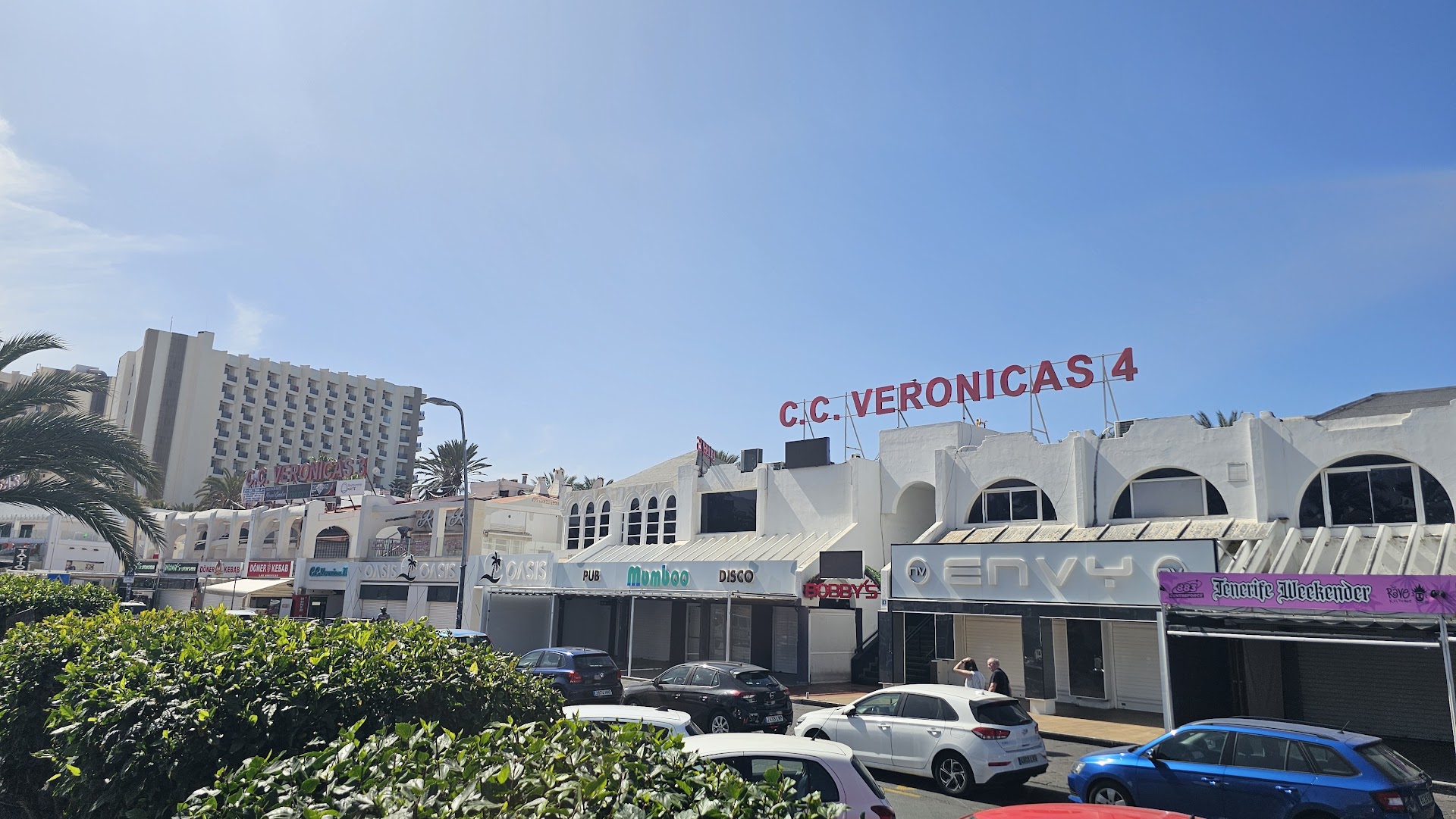 C. C. Veronicas 4