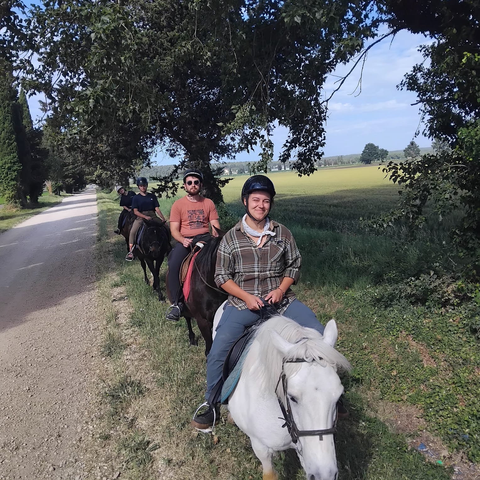 Horseback Riding in Murter Town