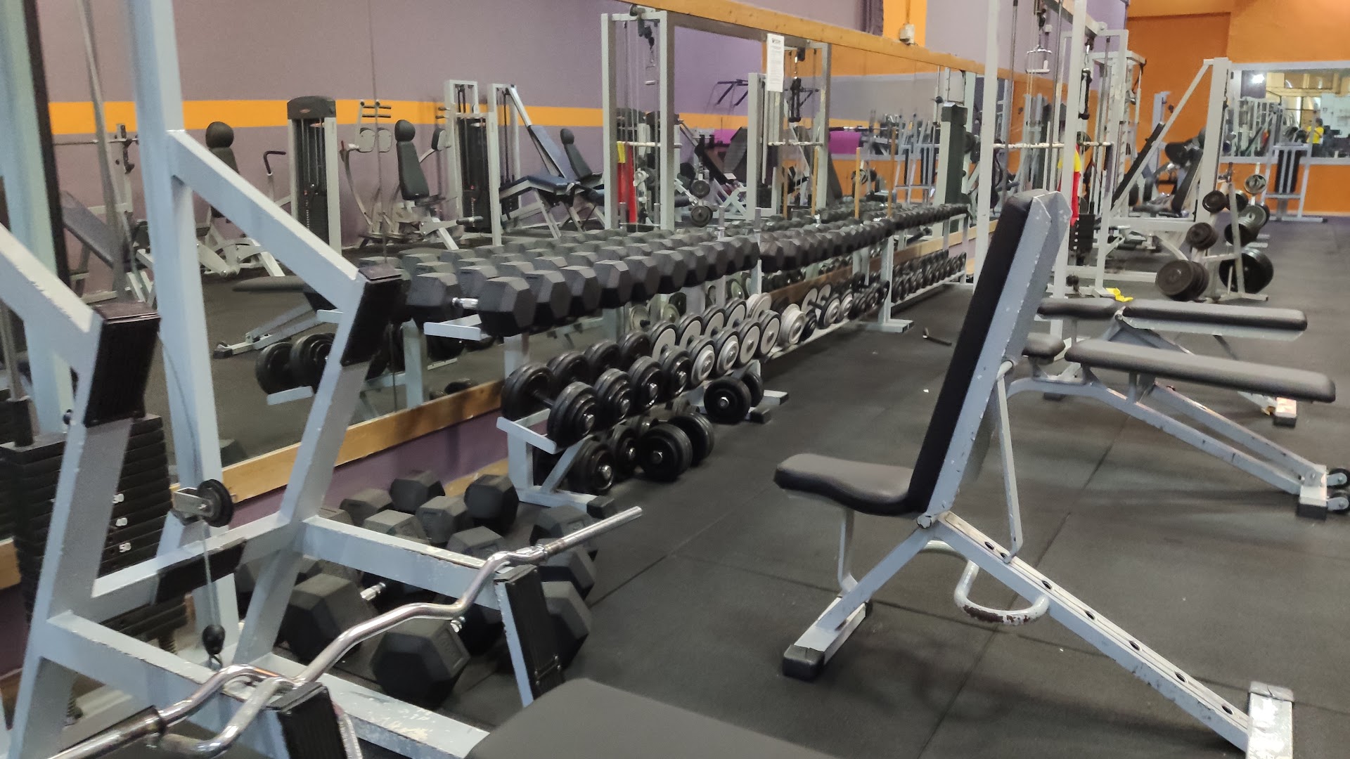 Palestra FitLive