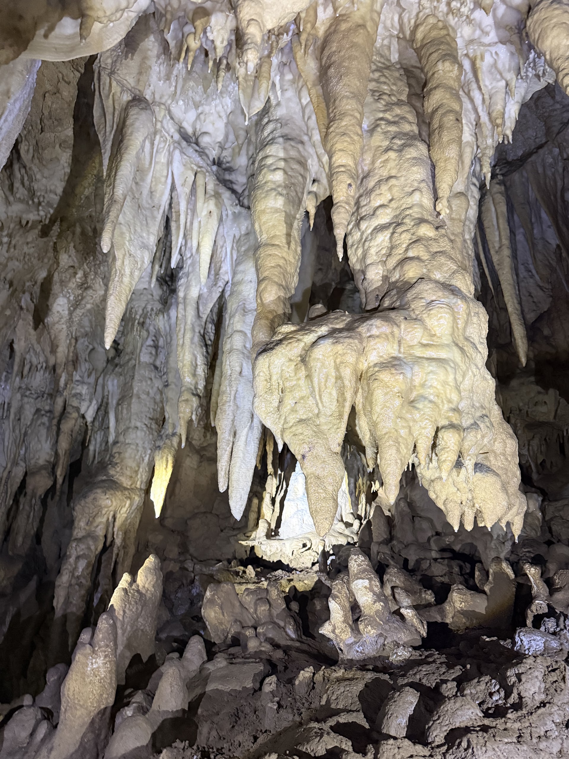 Hiking Tours in Alona Beach