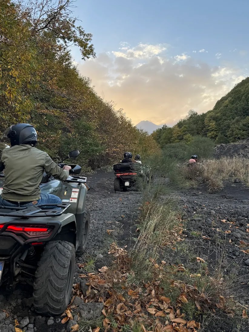 Milo Adventure
