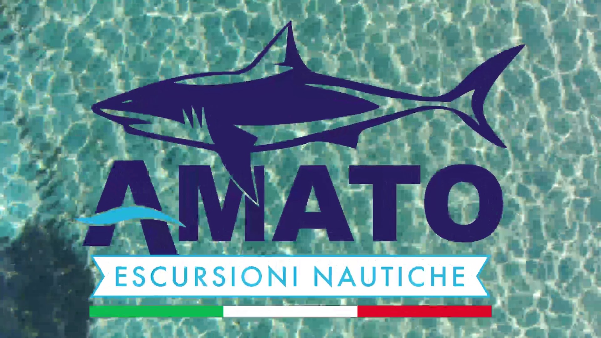 AMATO ESCURSIONI ASINARA