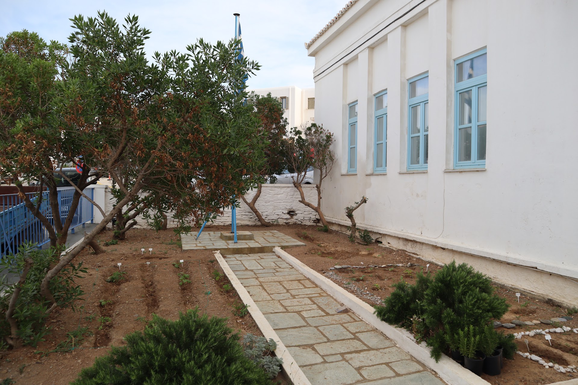 Language Schools in Dryopida