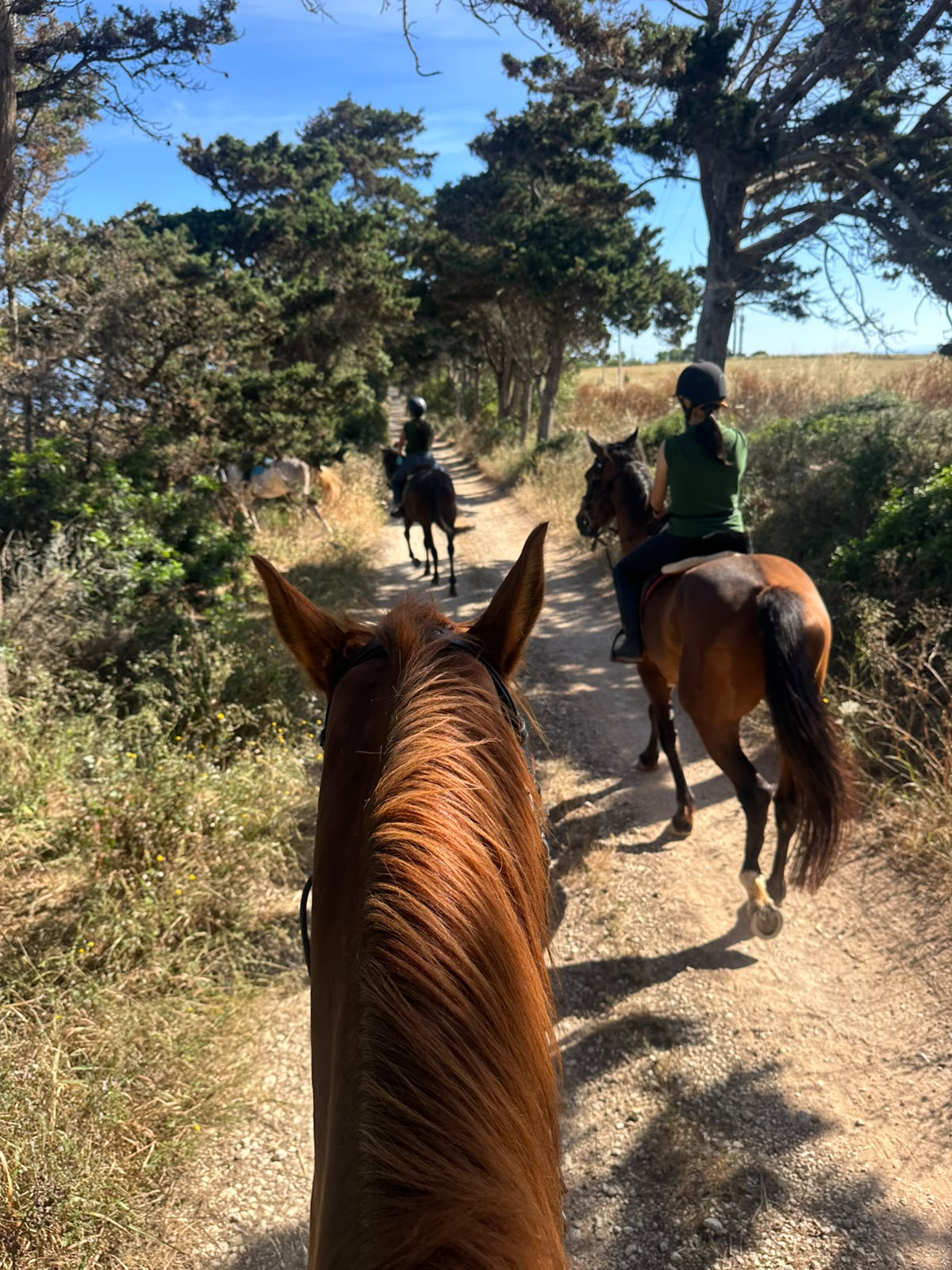 Sport Turismo a Cavallo Nuraghe