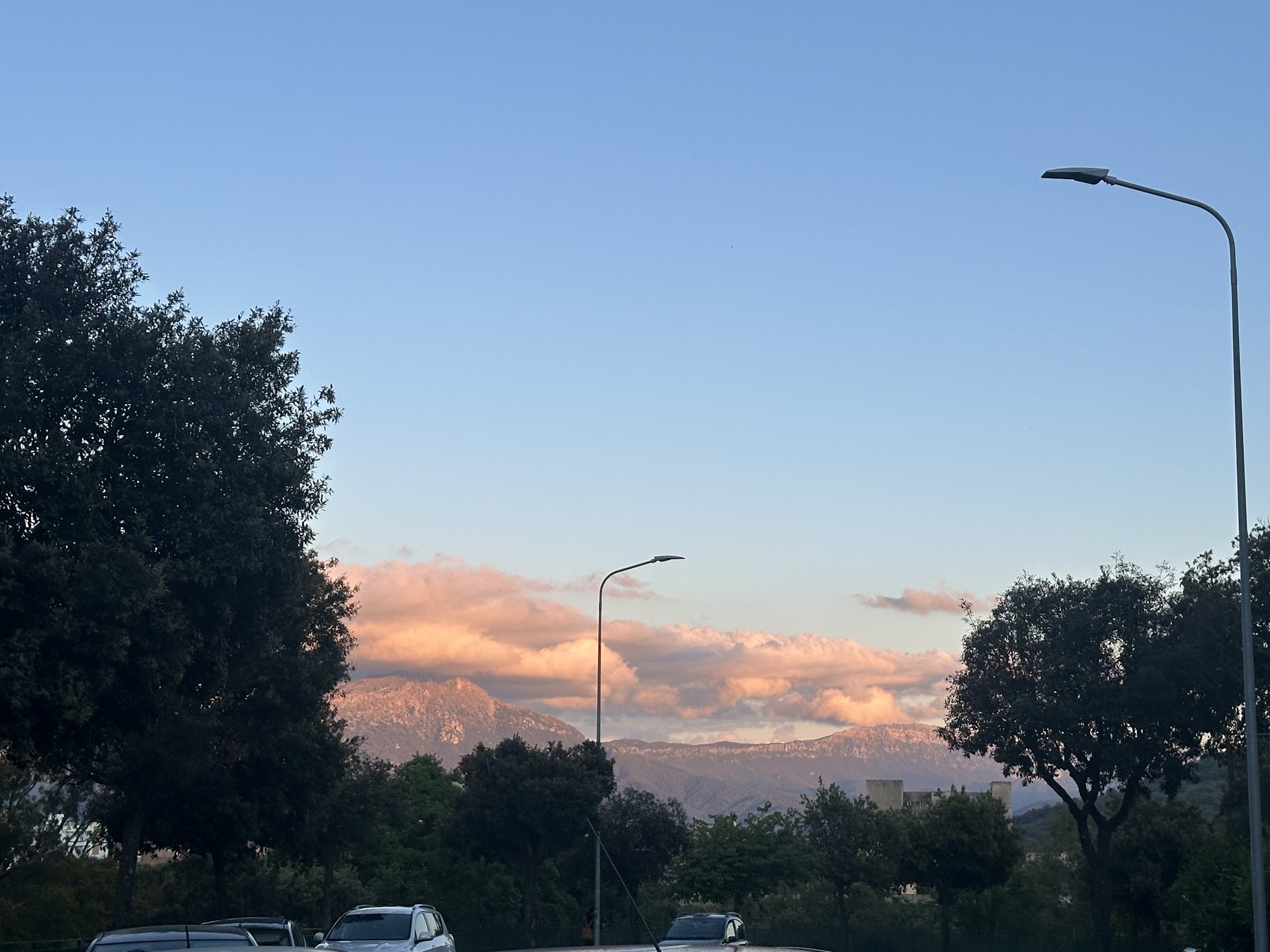 Le pavoncelle blu