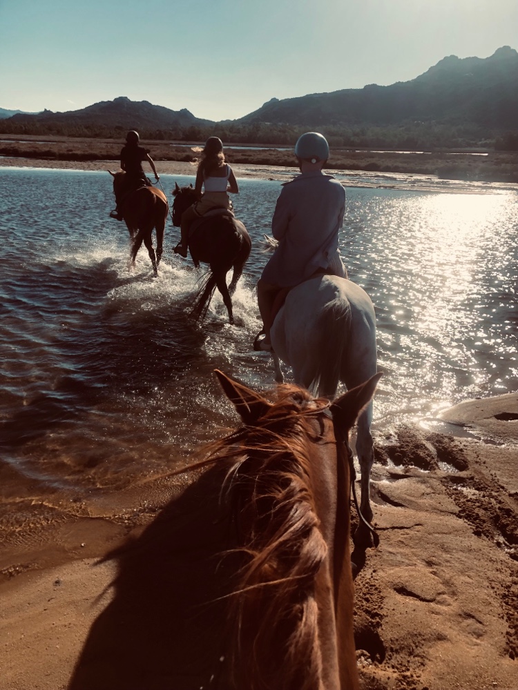 Horse Club Baja Sardinia