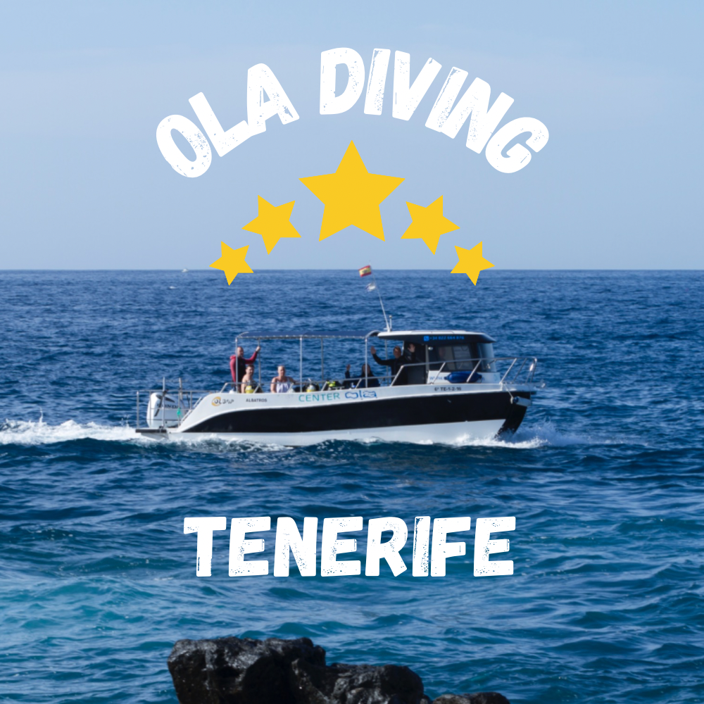 Ola Diving Center
