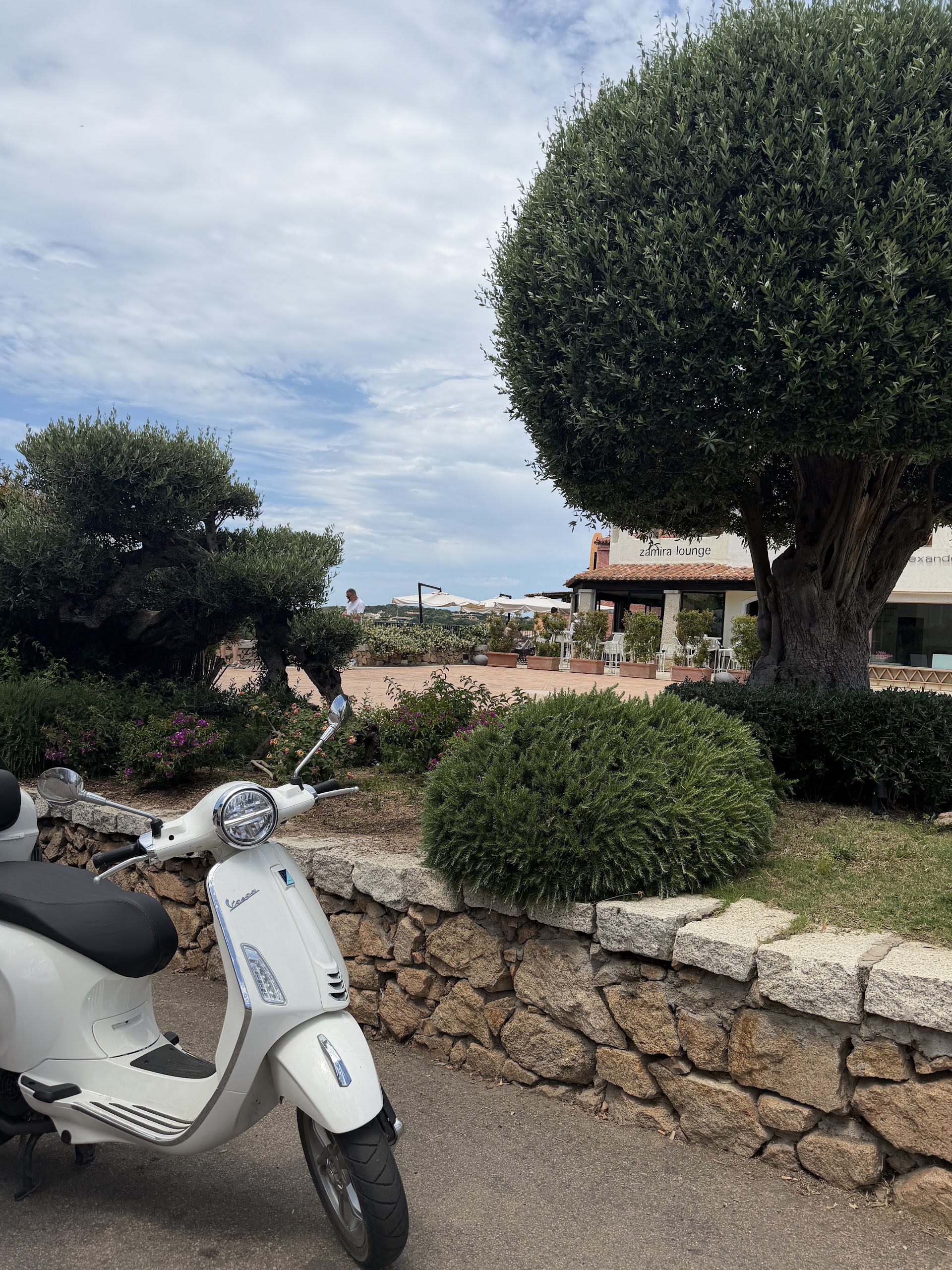 Cars & Bikes Srl - Autonoleggio