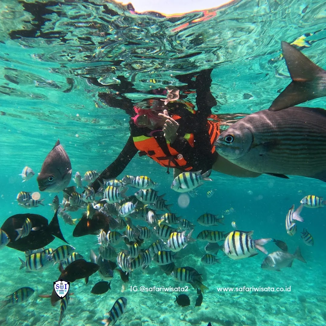 Paket Wisata Sabang | Paket Tour Sabang | Operator Liburan ke Pulau Weh Aceh