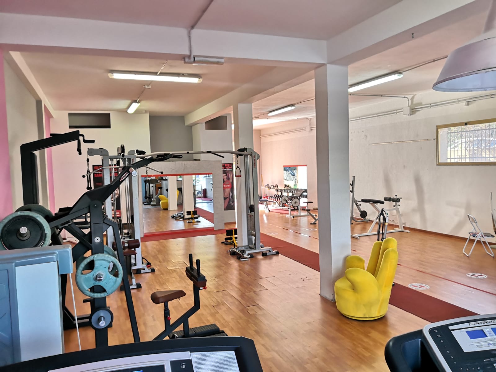 Performance Exclusive Gym and fitness, Personal Trainer, consigli Alimentari, Scheda Allenamento
