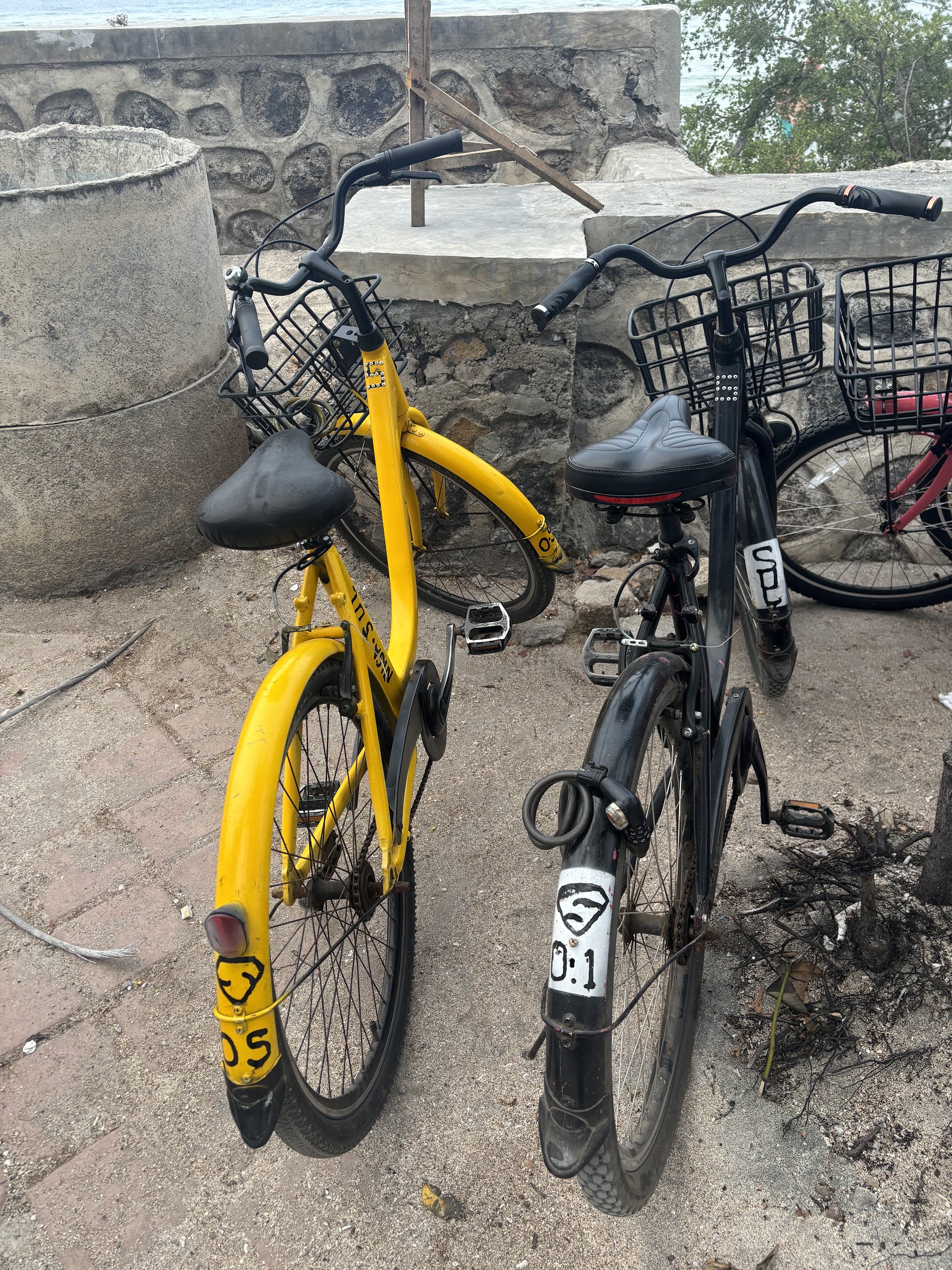 SUL Rental Bike.s