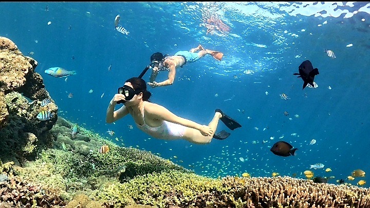 Snorkling Dream - Jasa Snorkling Tour Lombok Utara