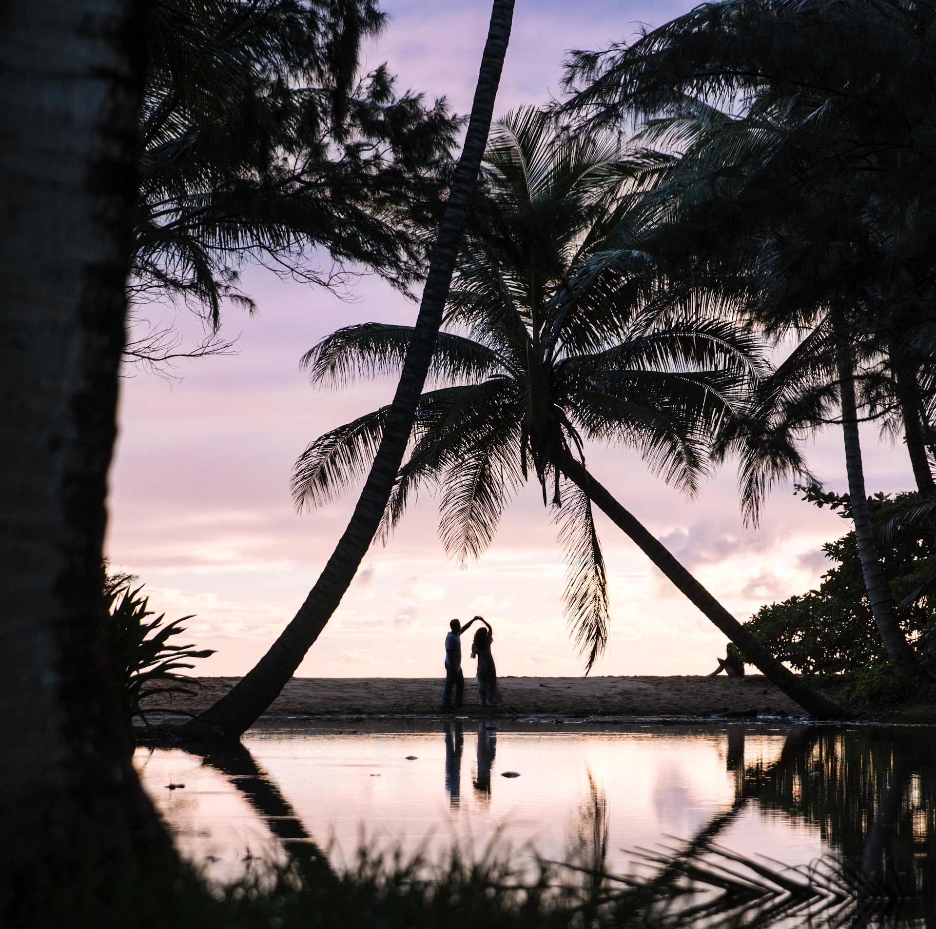 Aloha Island Photography