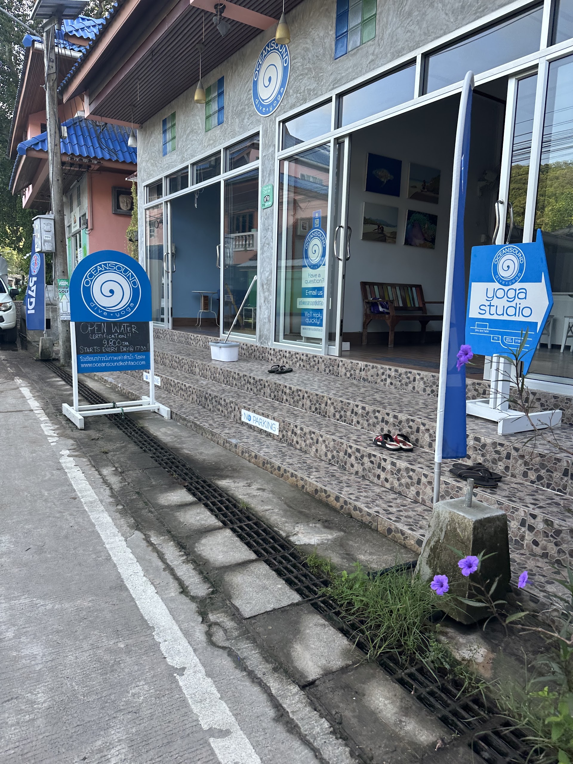Ocean Sound Dive + Yoga