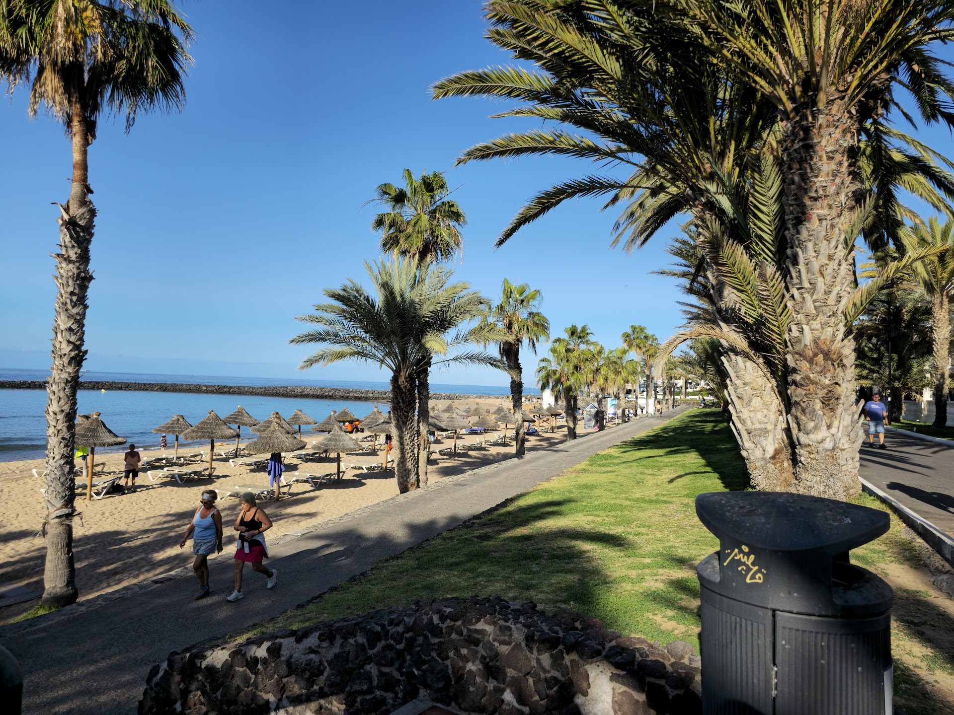 Playa del camison