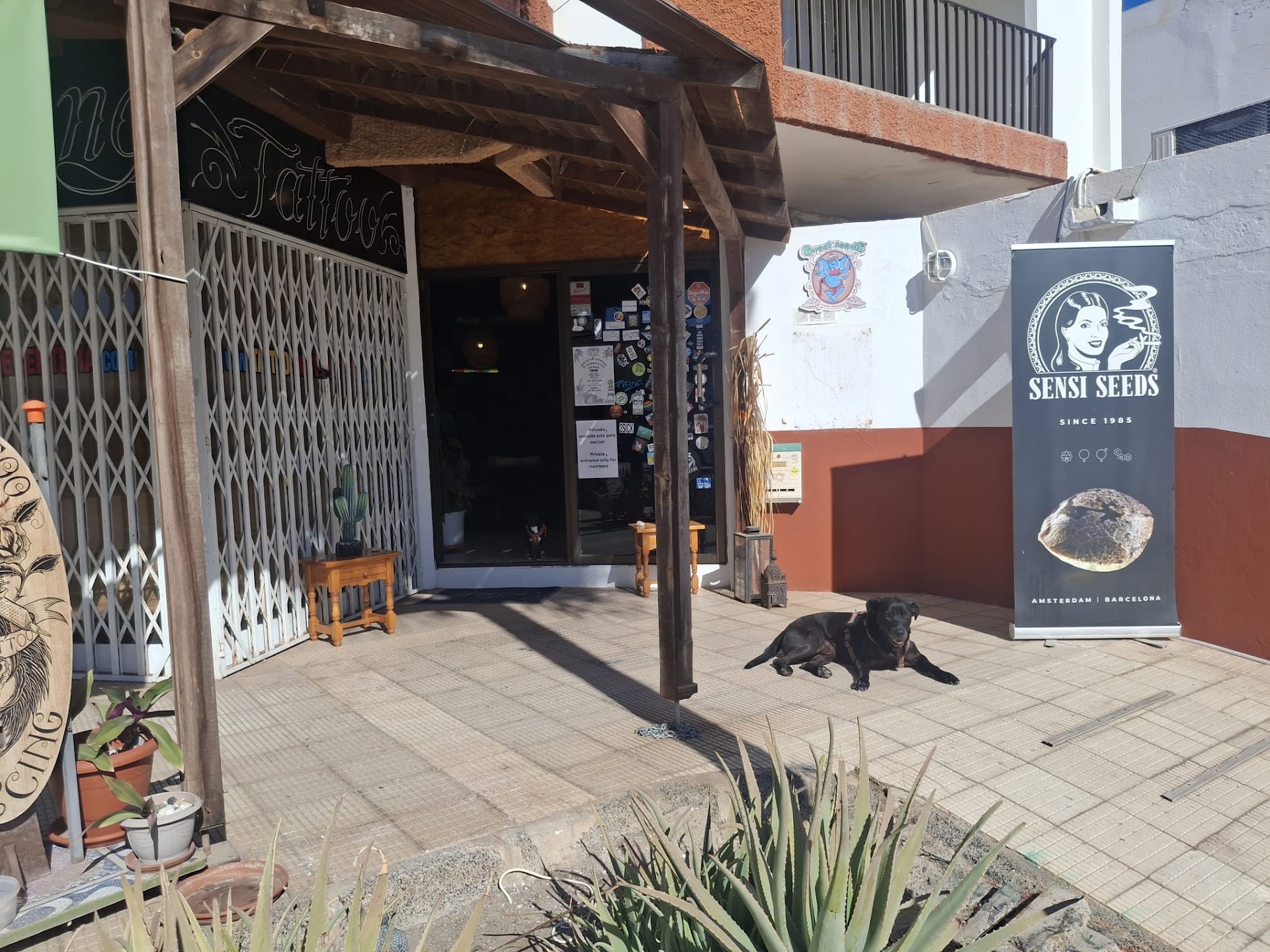 Shaman Fuerteventura Grow Shop