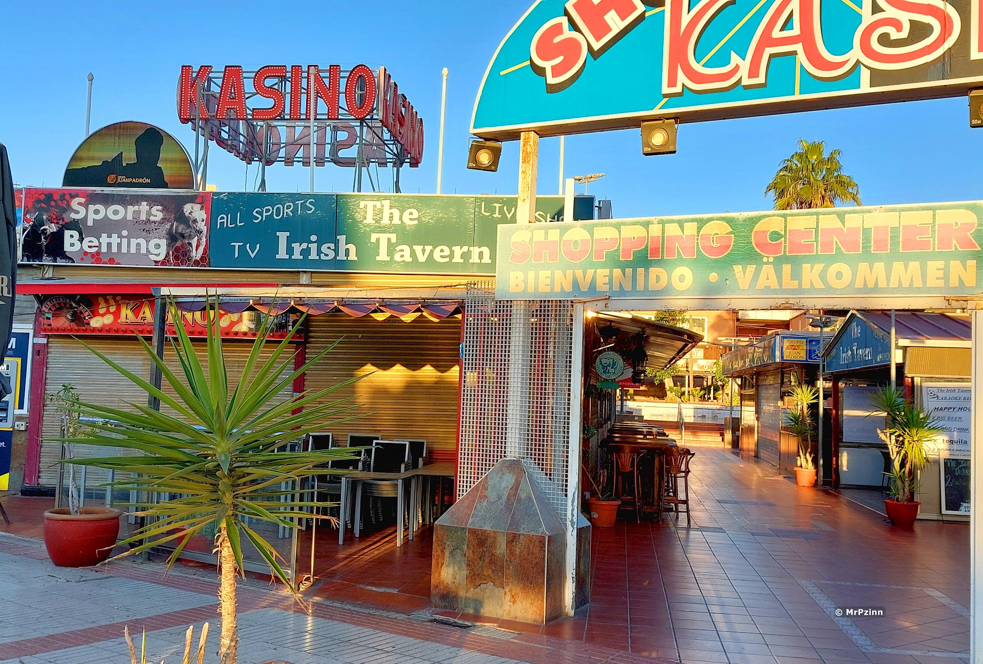 The Irish Tavern