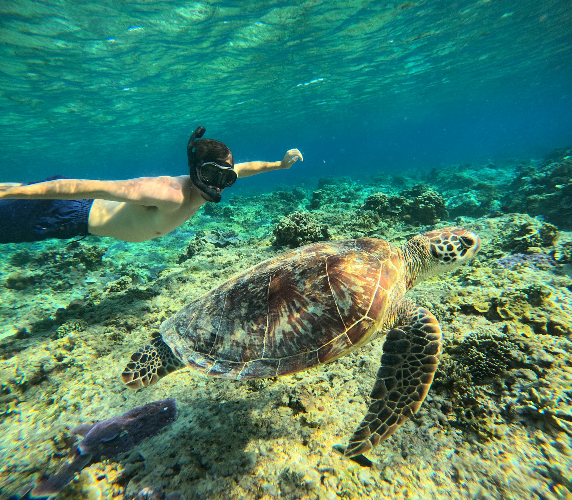Gili Snorkeling Tour