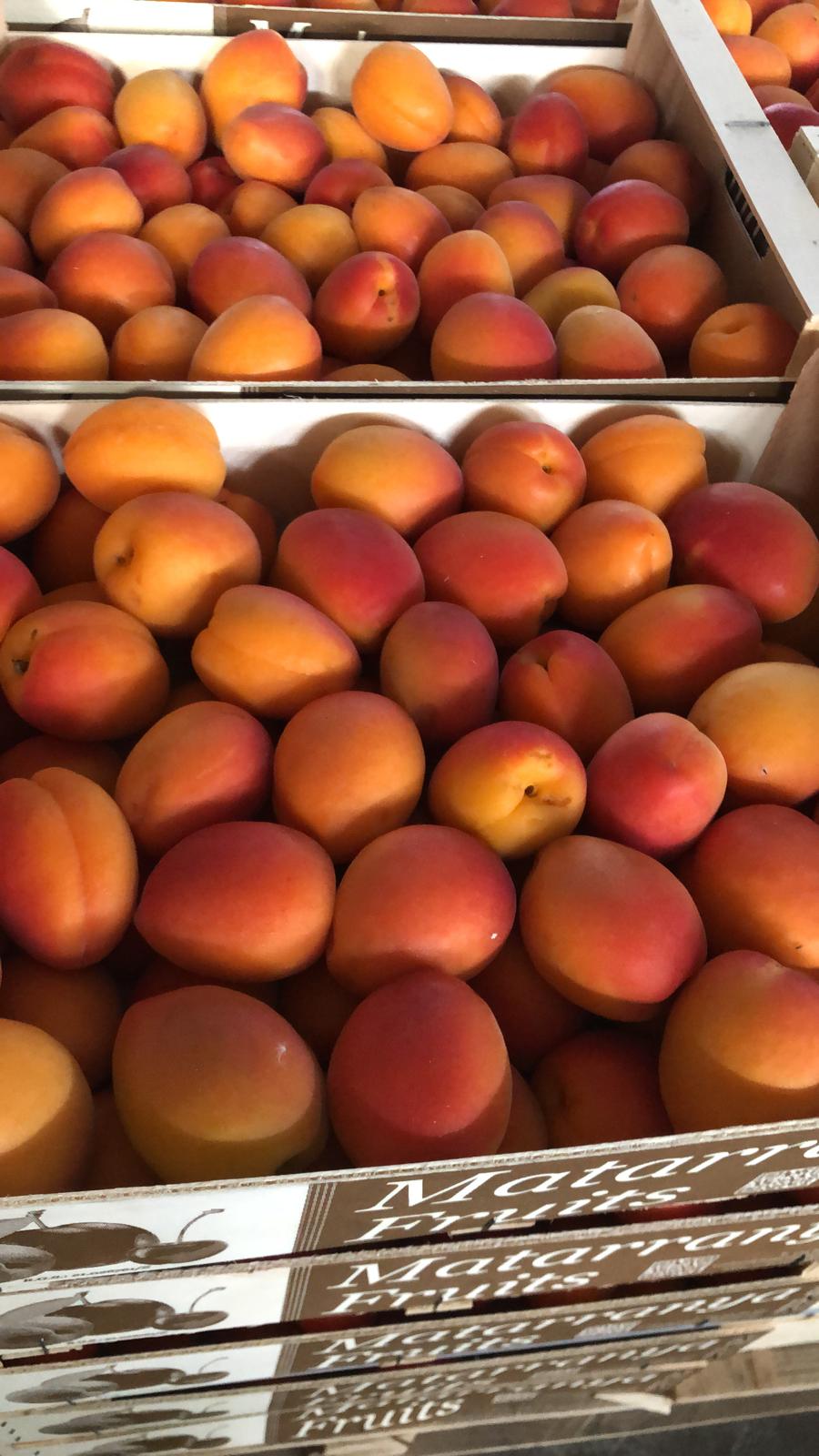 Consorzio Fiera Ortofrutta Di Cagliari