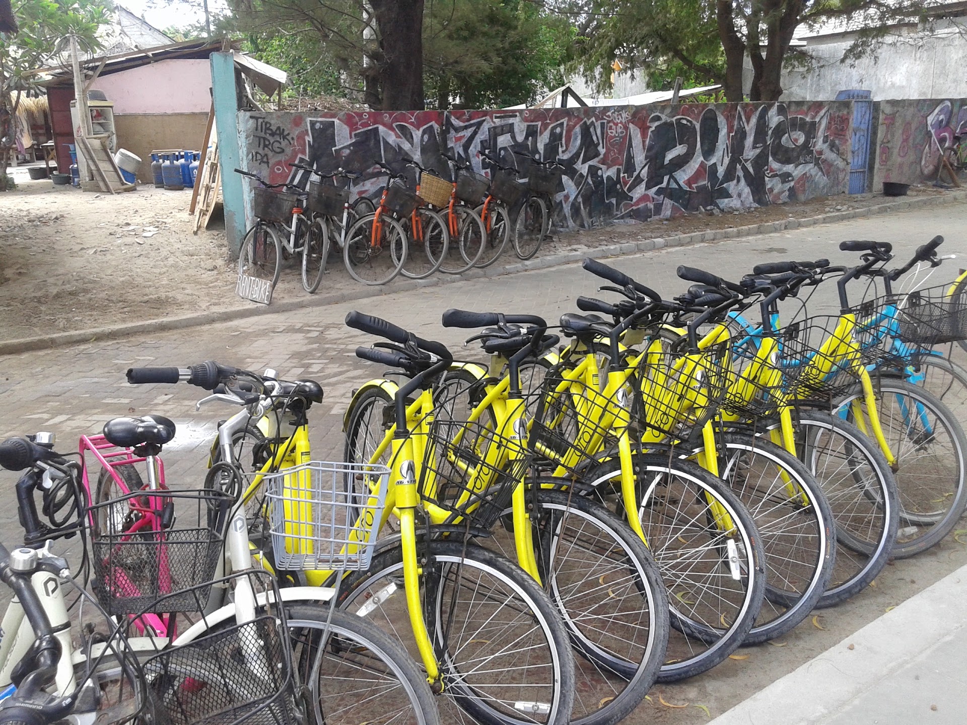 Rent Bikes And Mask ( Turtle Point) Melati