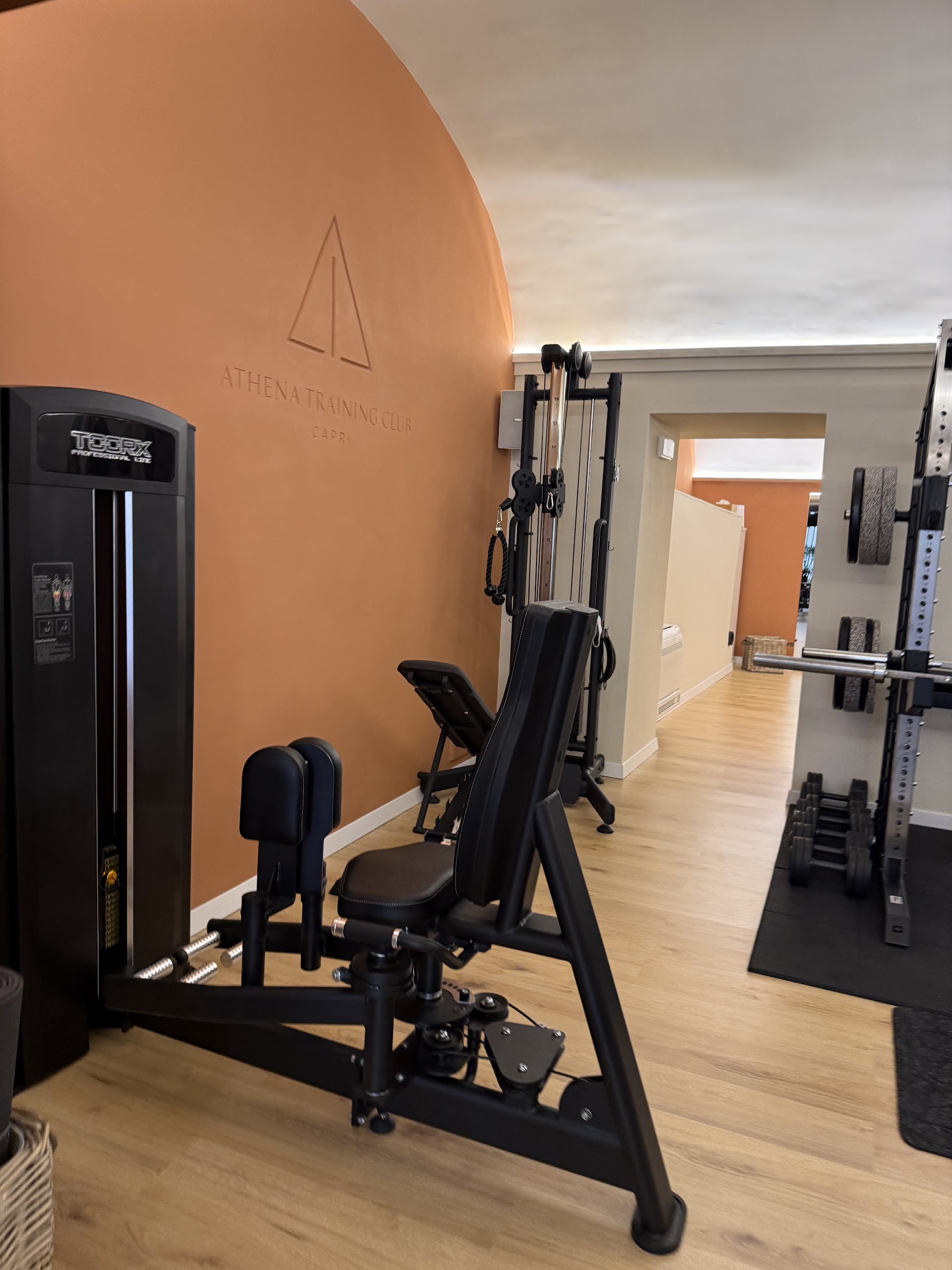 Athena Training Club