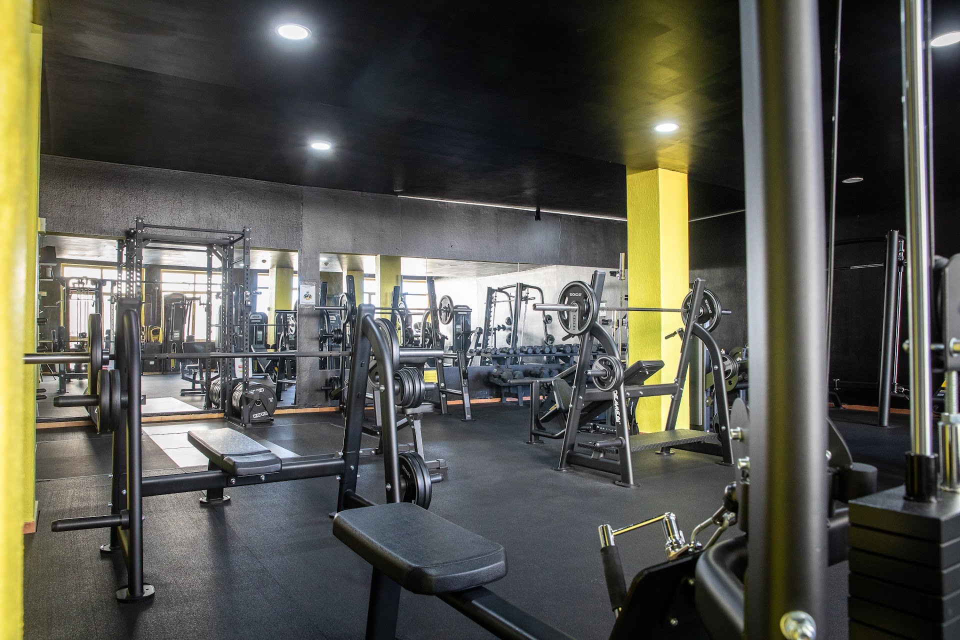 Elysium gyms