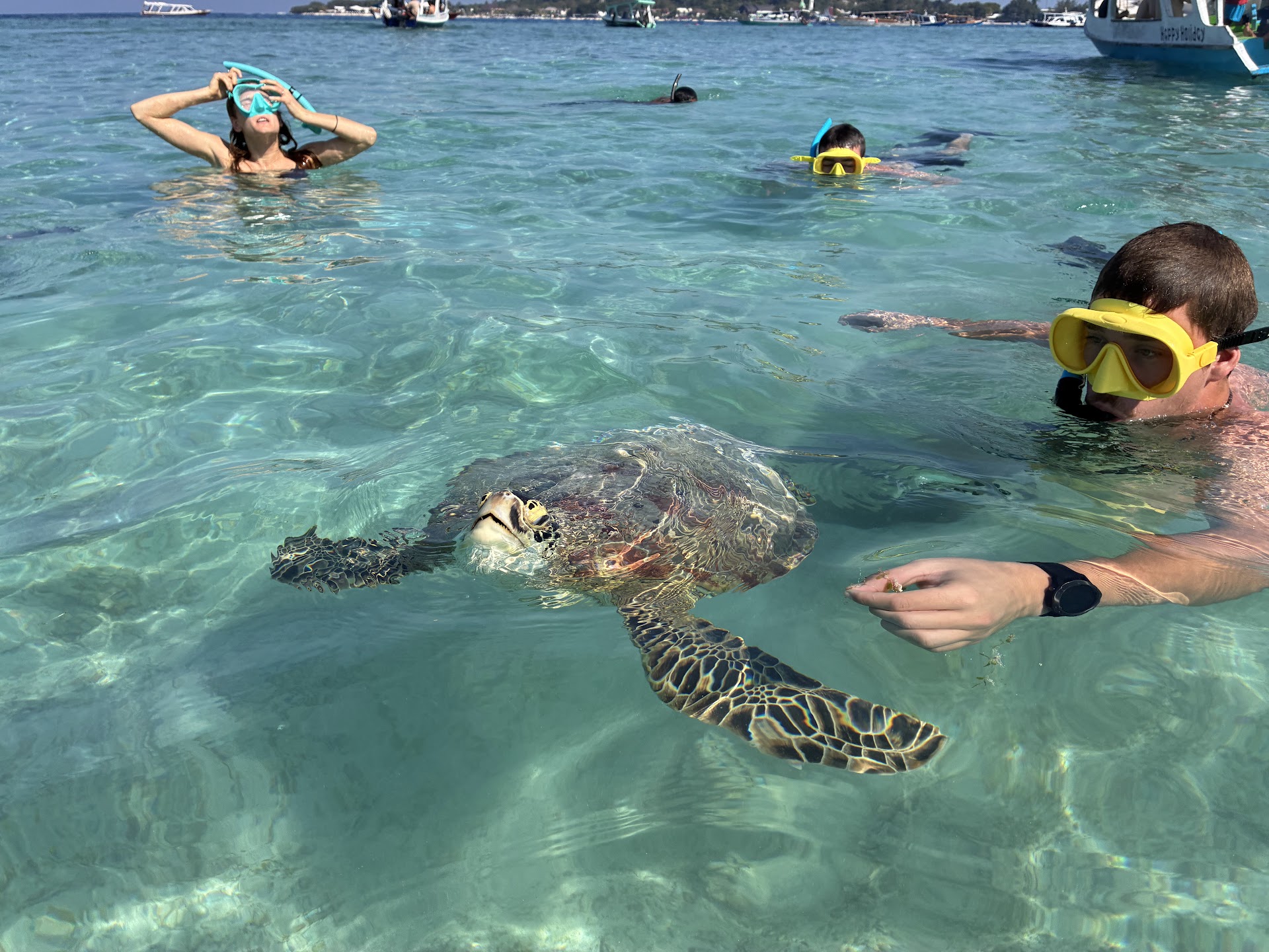 JOYFUL TRIPS Gili trawangan