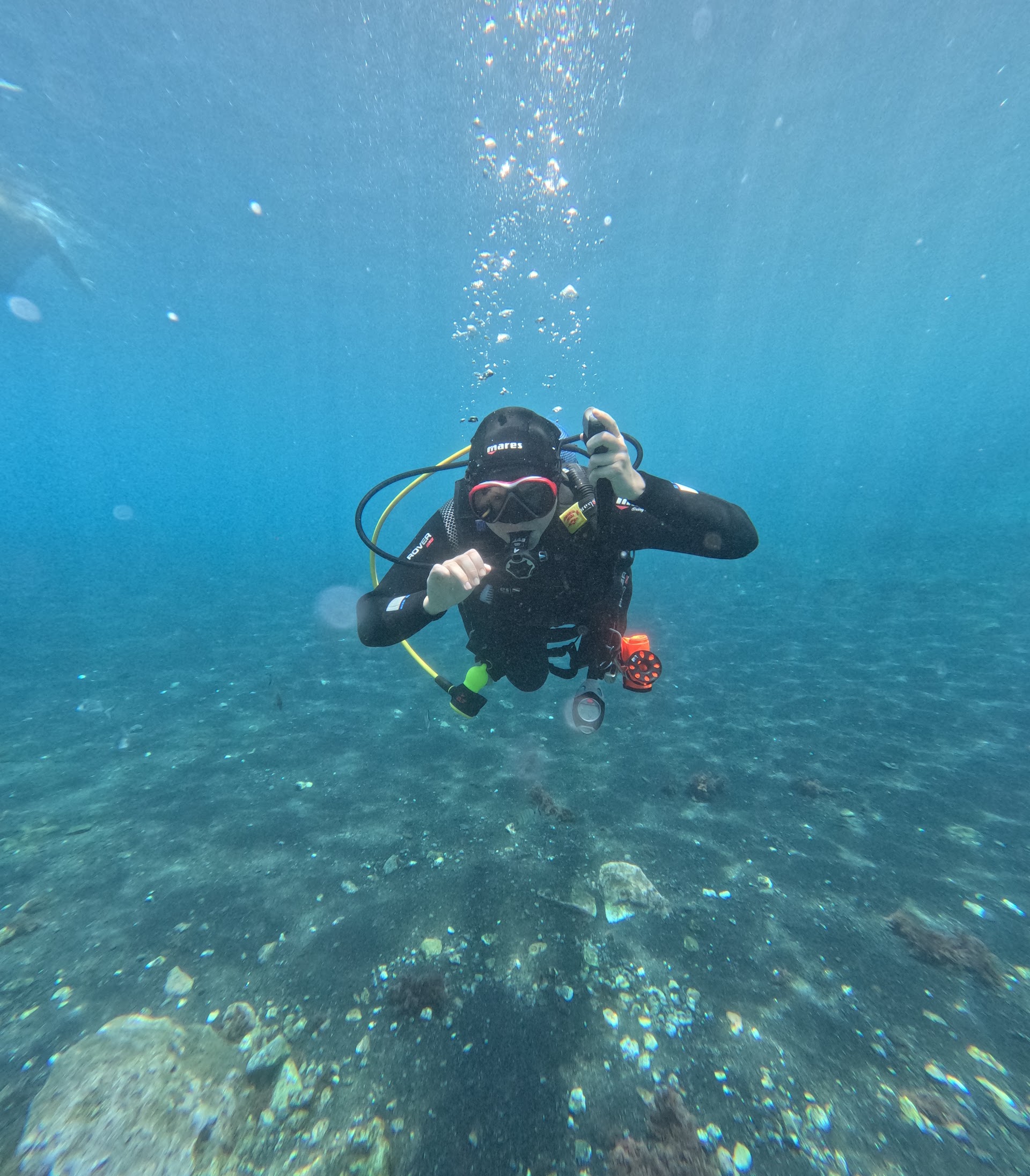 Club and Diving School "Ecological Divers Tenerife"