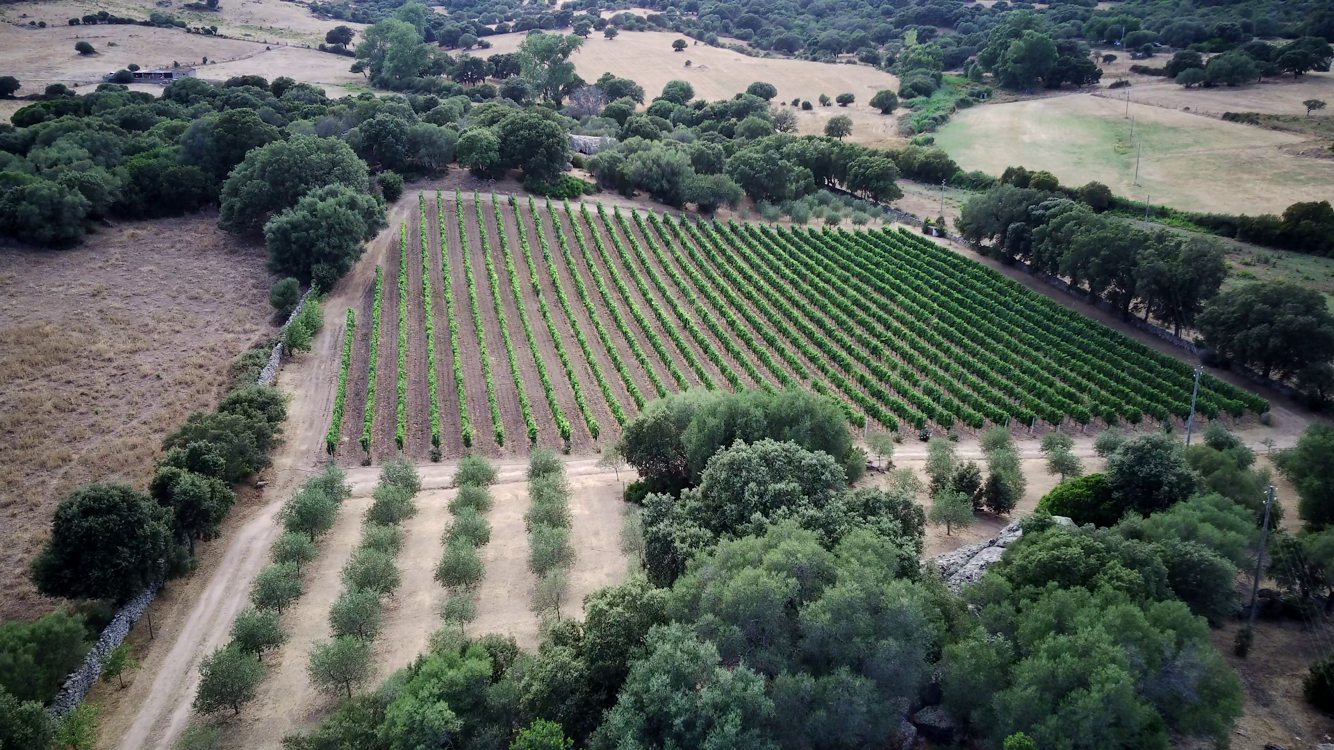 La Neula