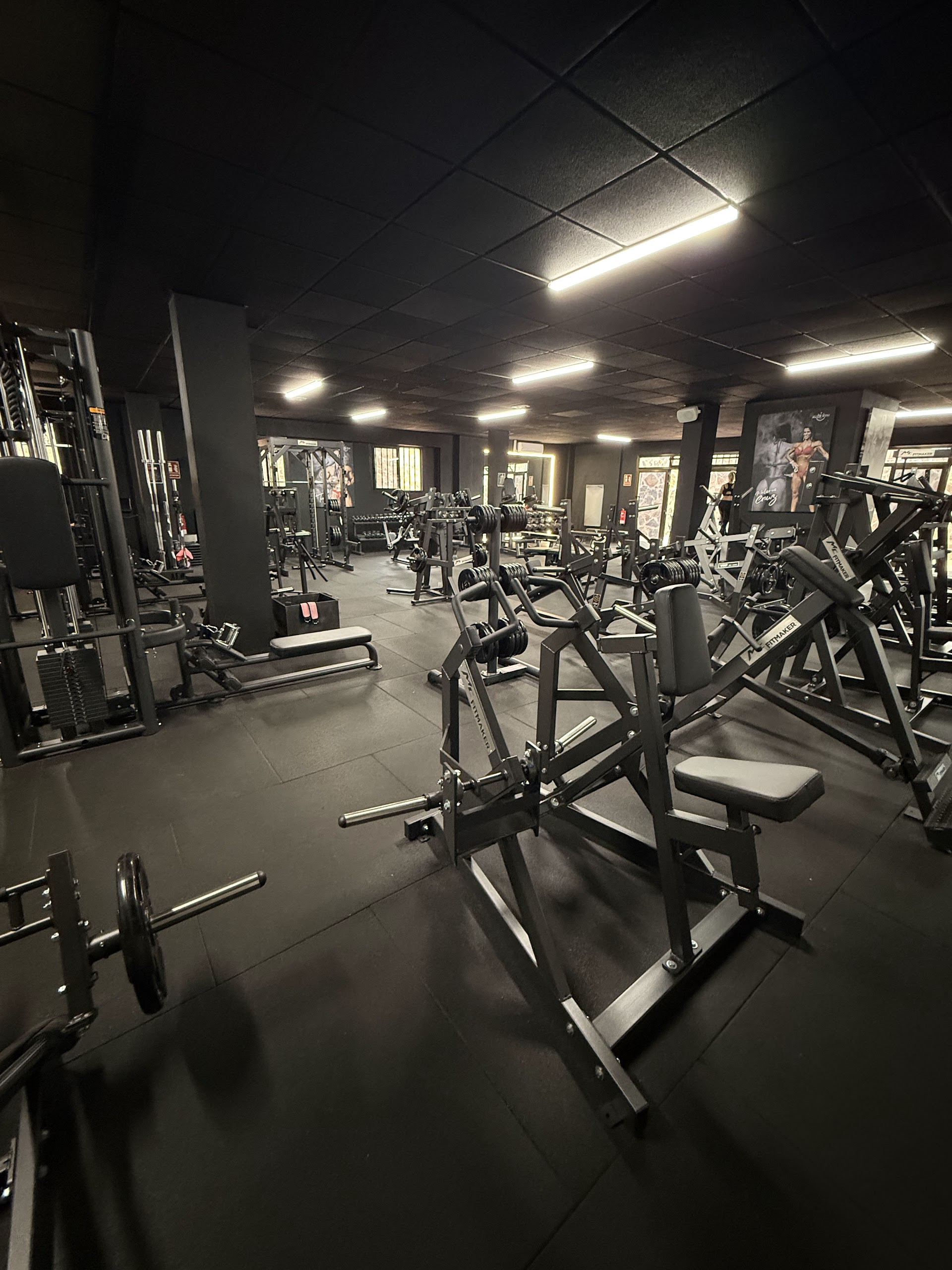 Elite Gym By Timoteo Boza