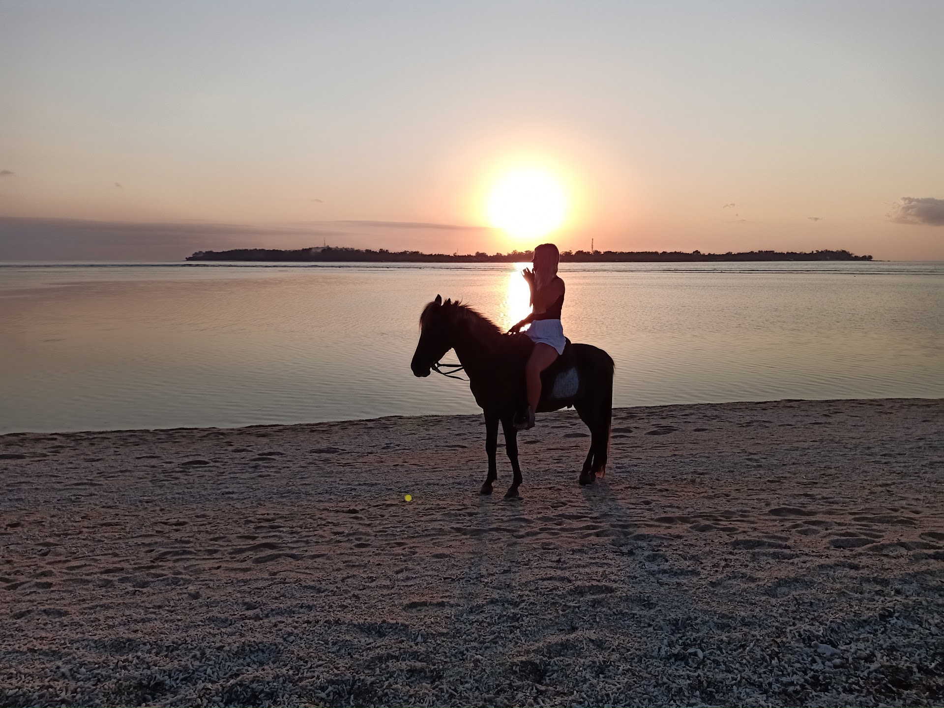 Queen sunset Stable Gili Air