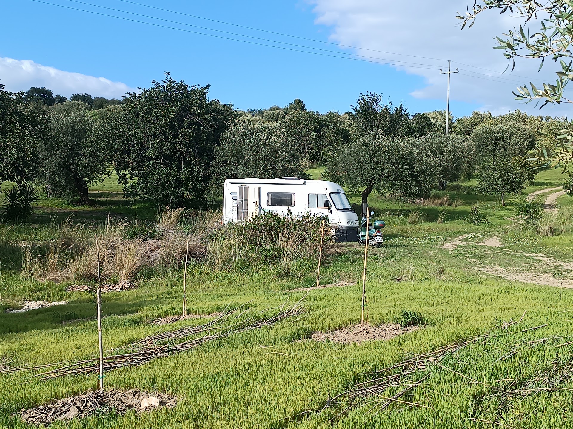 Flora Iblea Agri Camping