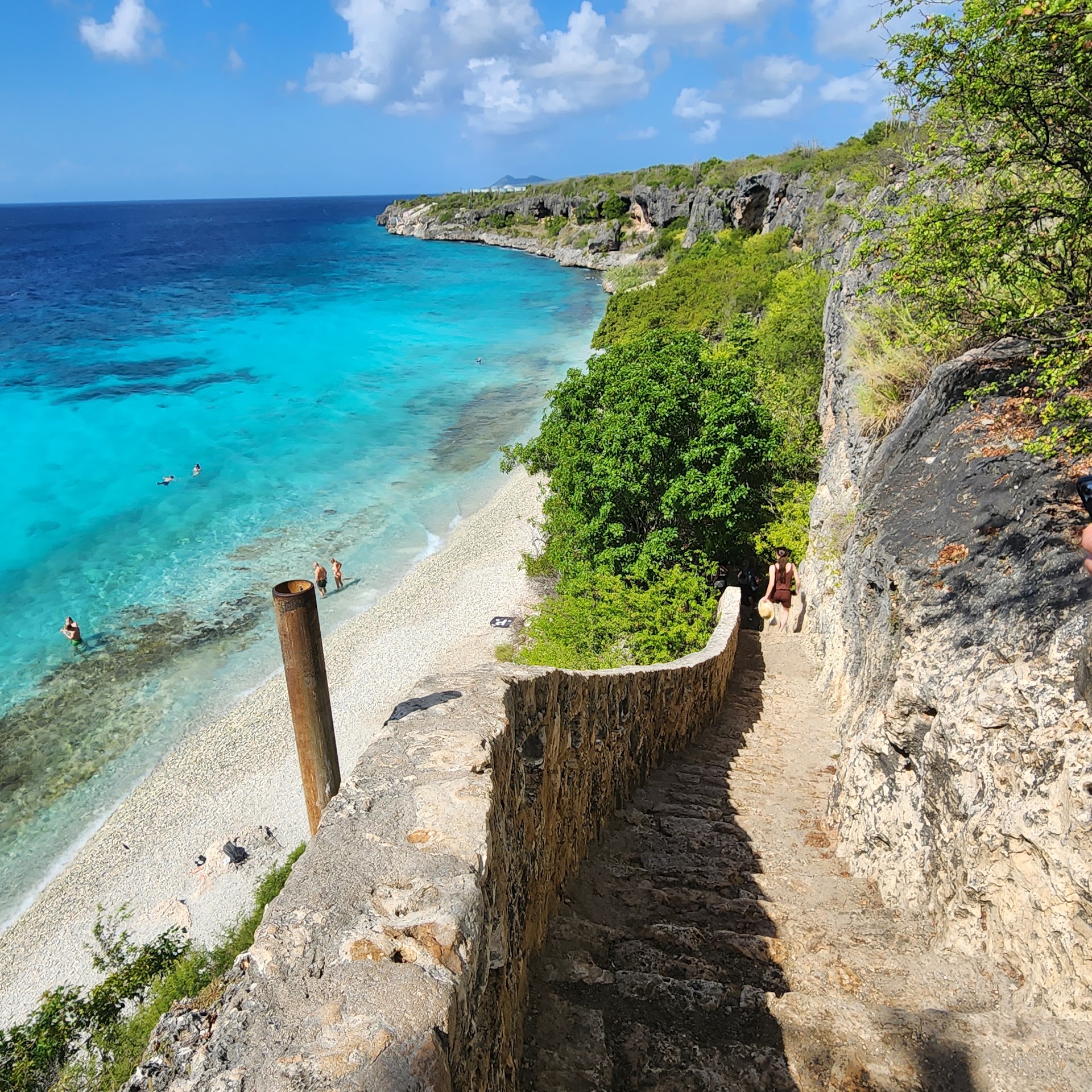1000 Steps (16)