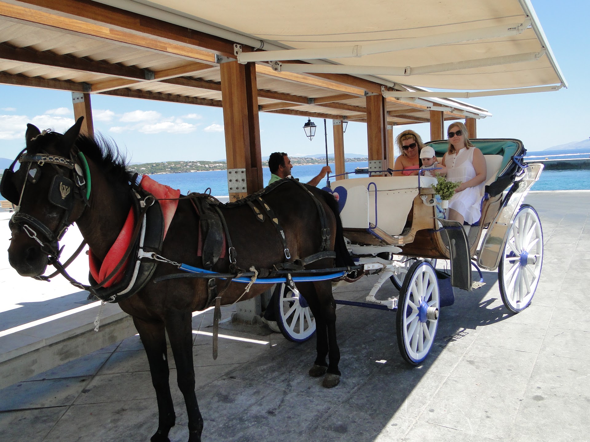 Horse Carriages Poseidonio Square