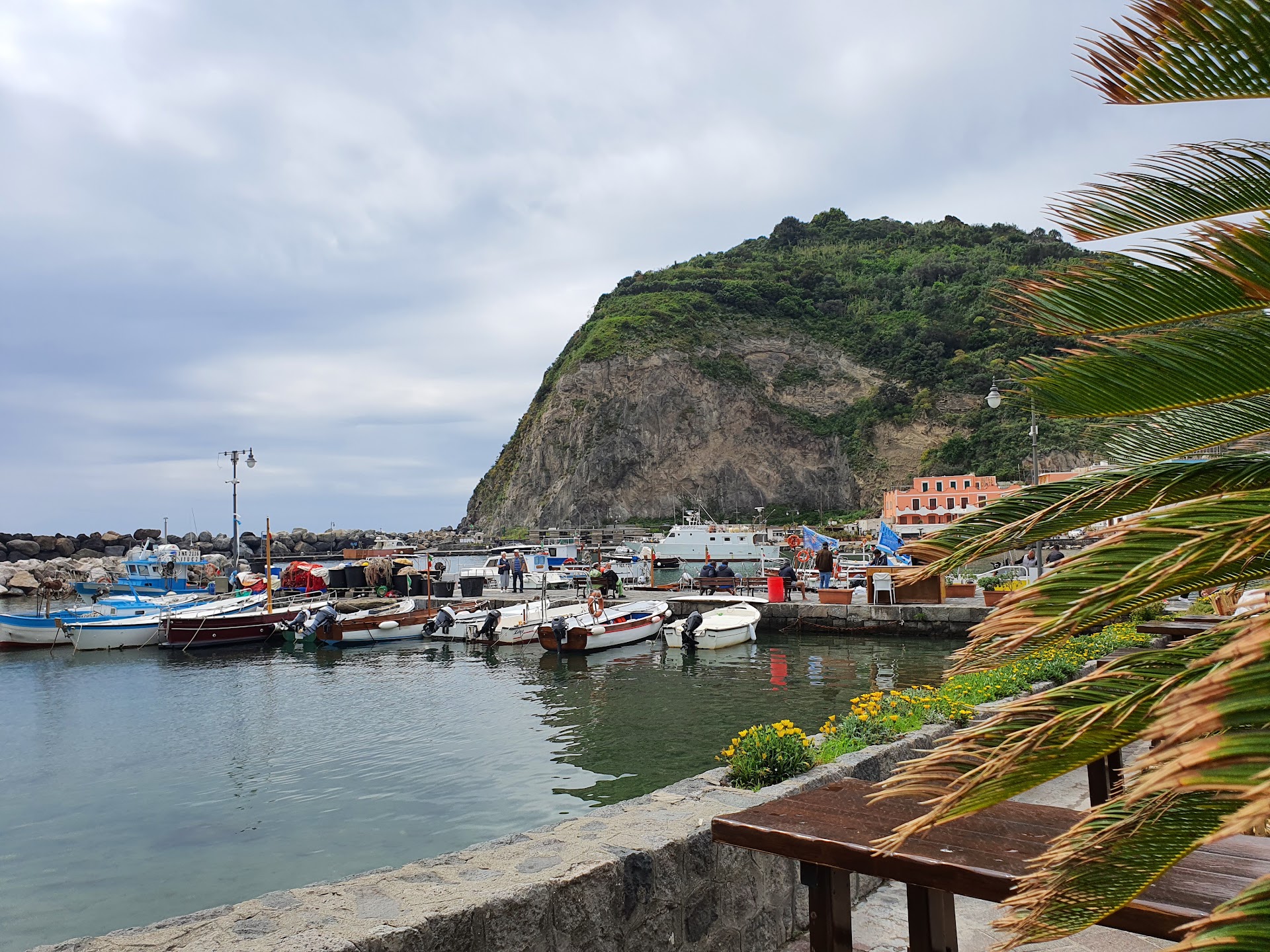 Associazione Nemo per la Diffusione della Cultura del Mare - Ischia