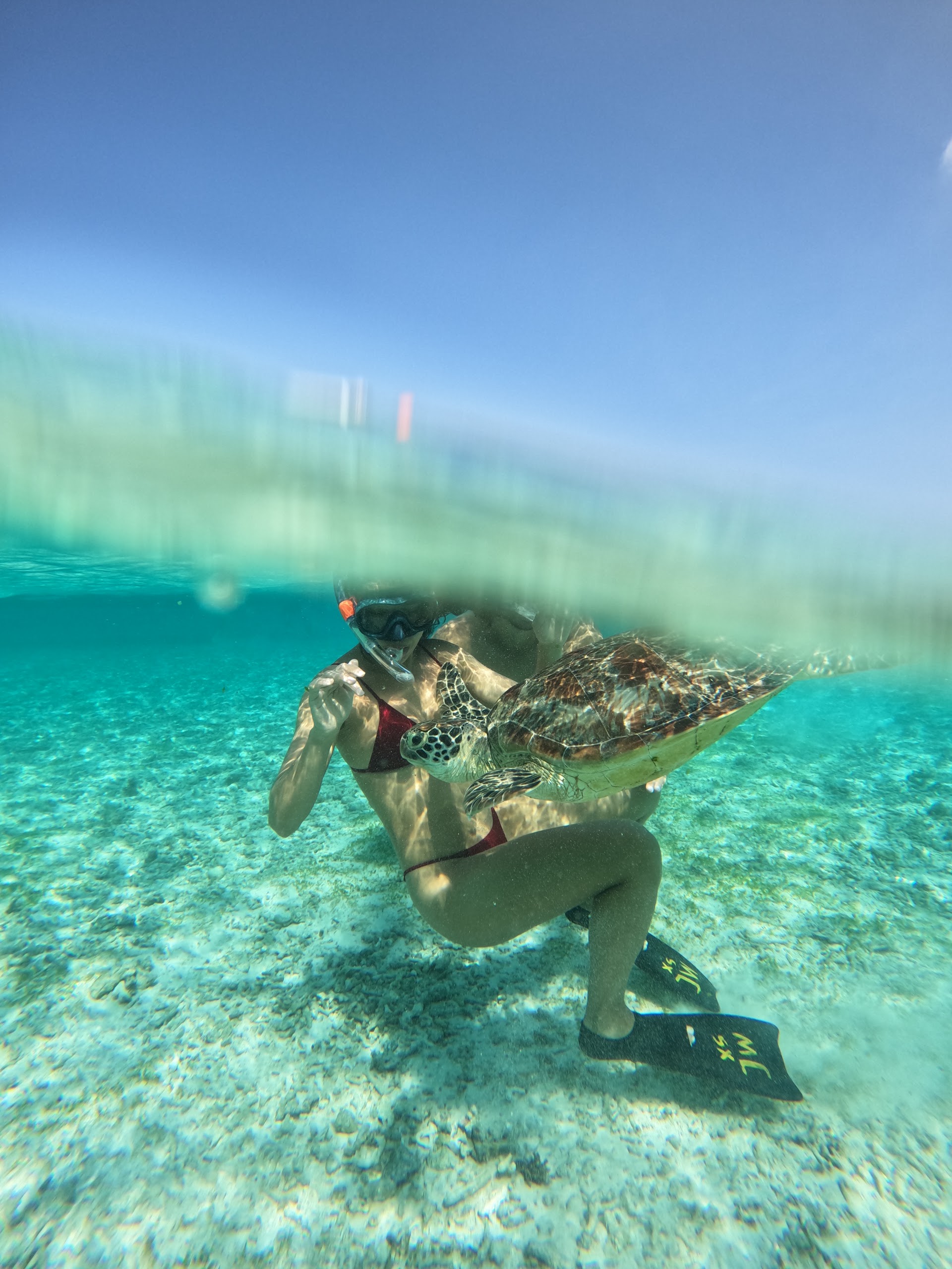 Gili Private Snorkeling Trip