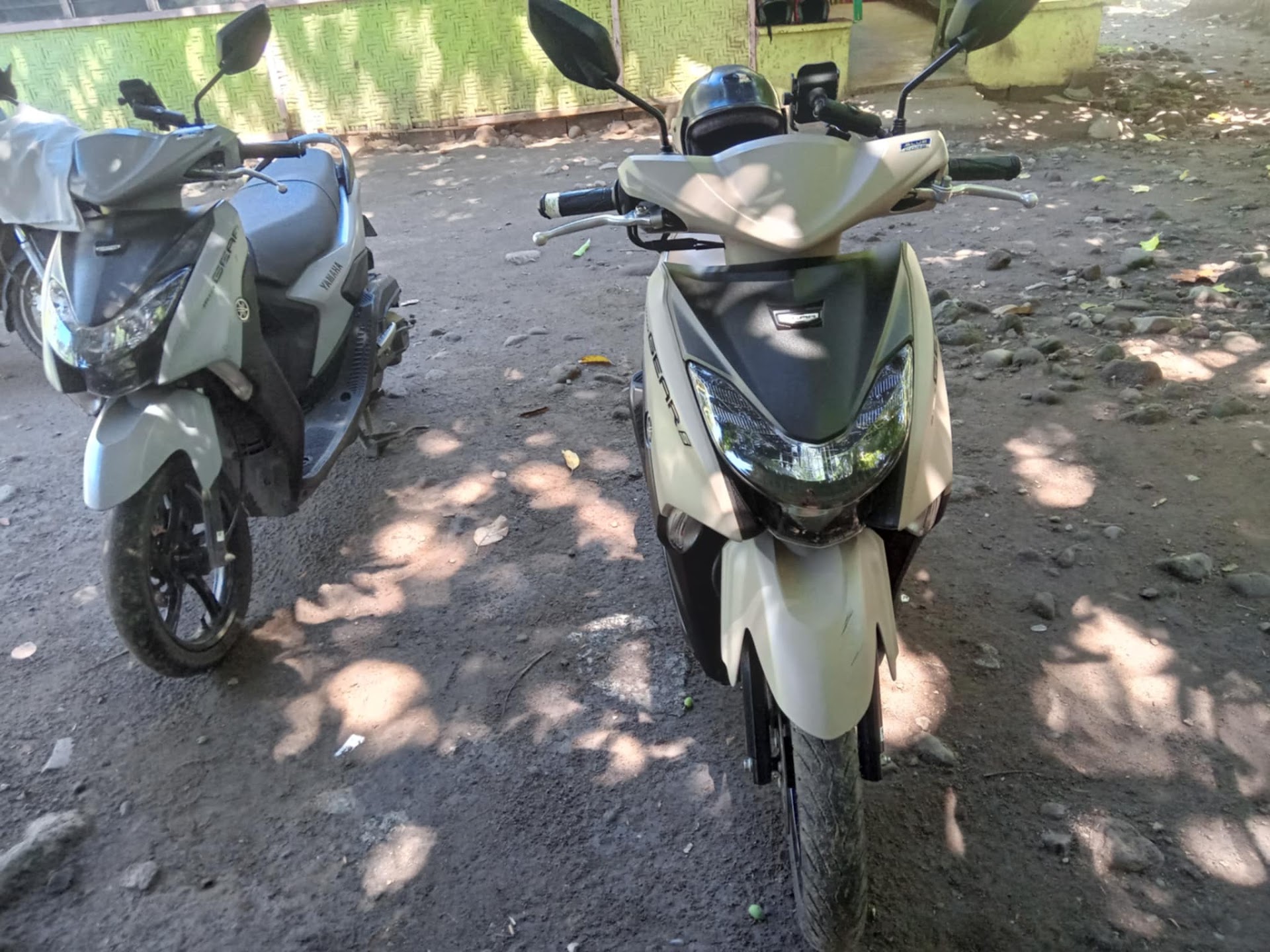 Marlee motorbike rental