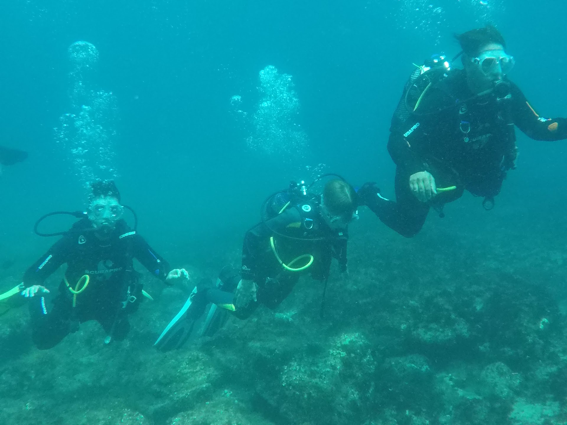 Buceo Pandora S.C.P